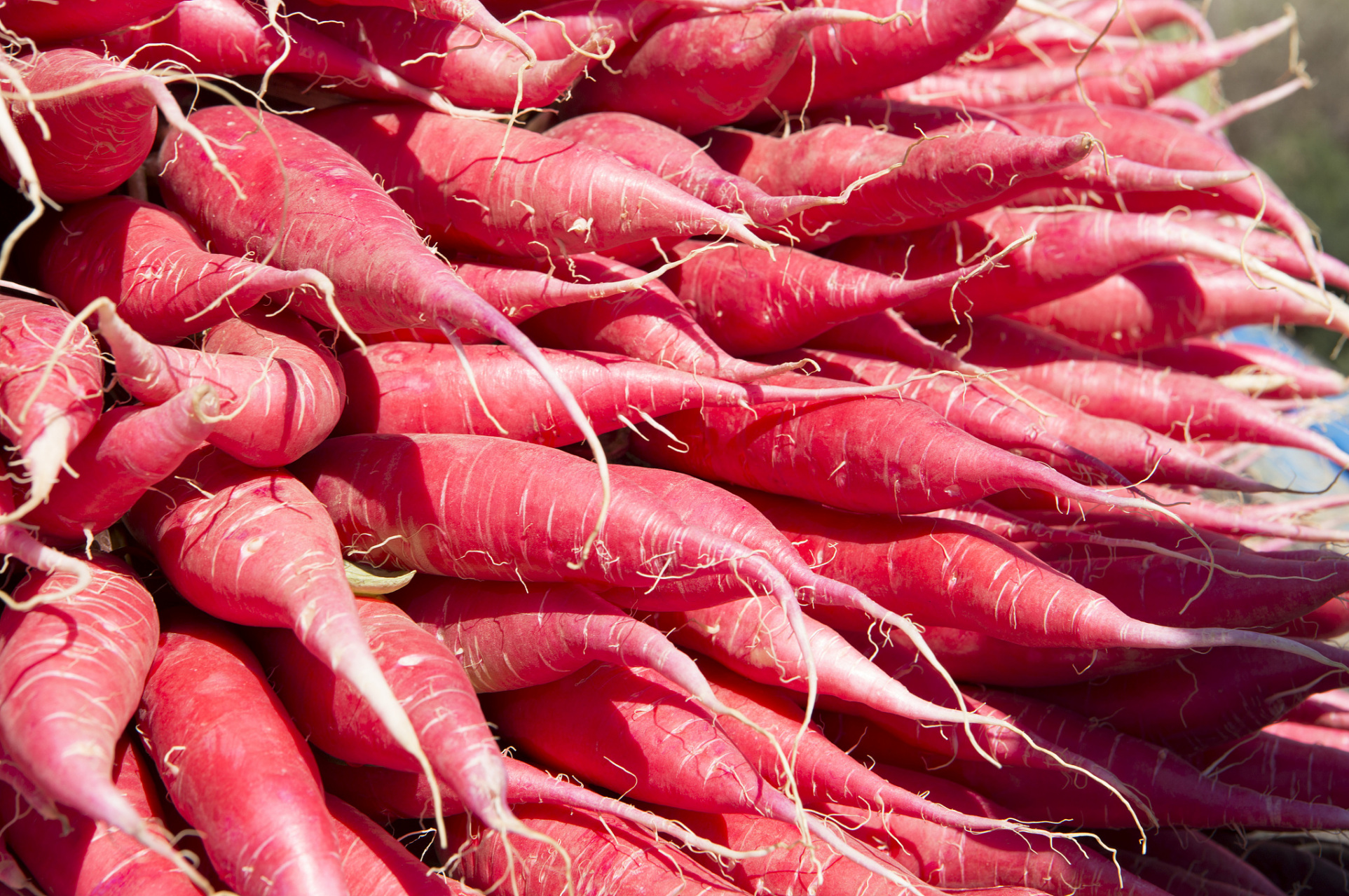 胡萝卜的营养价值高,高在哪呢?