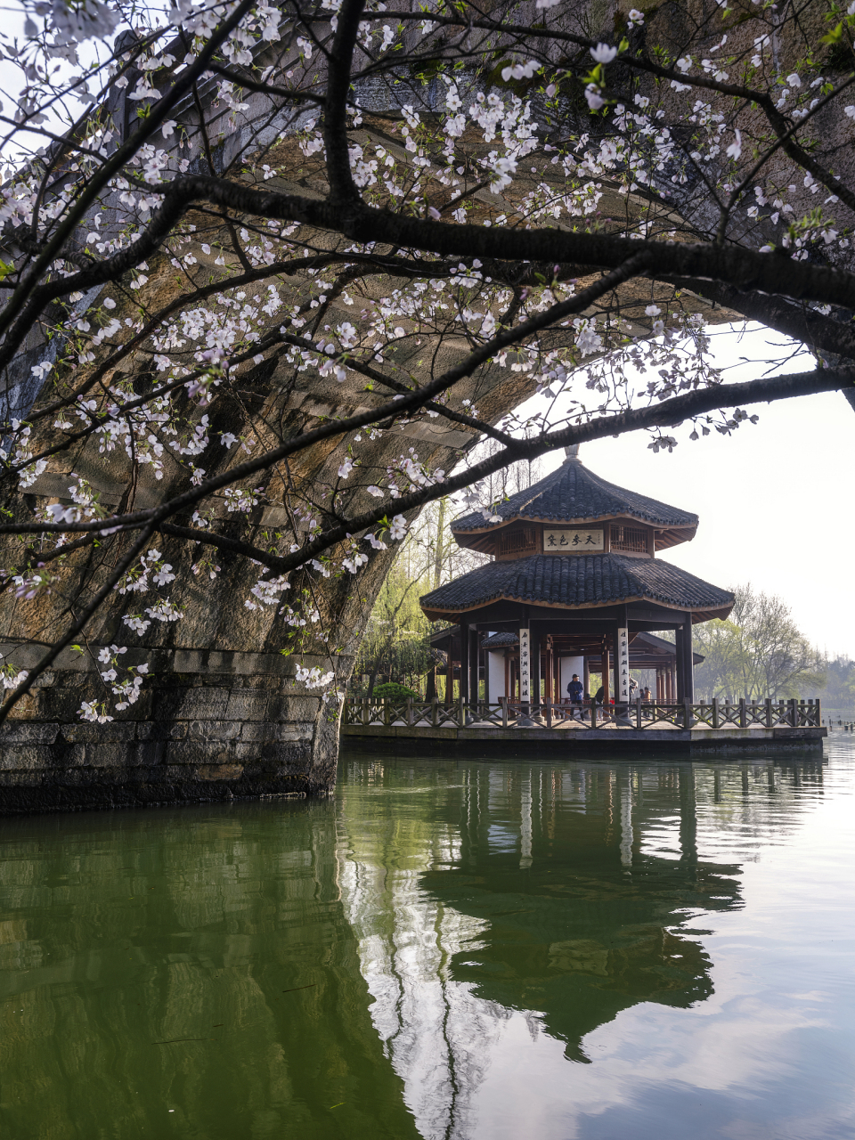 镜头里的春天# 杭州春季是一个充满生机和活力的季节,是进行各种diy