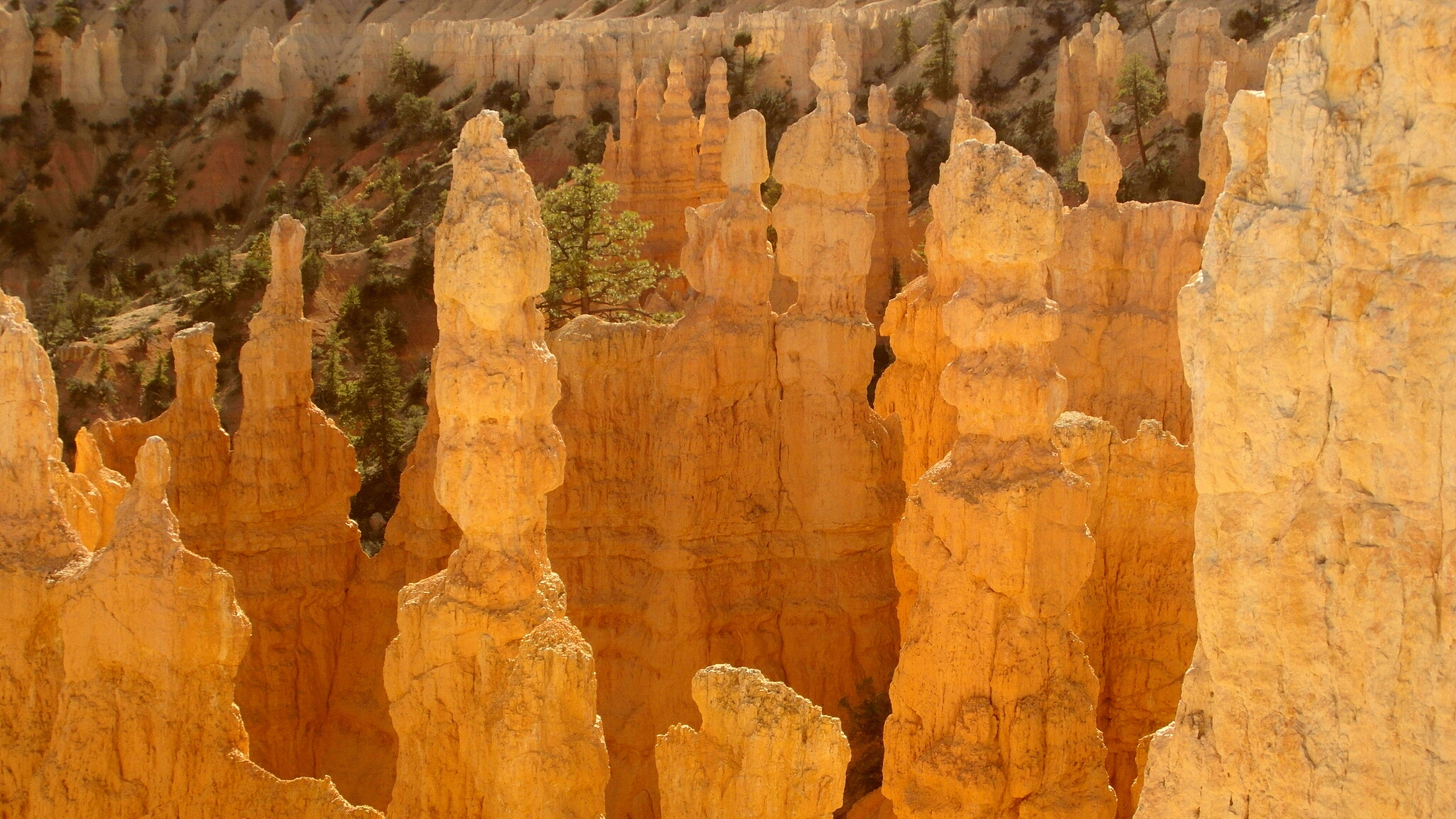 四川旅行# #毕业后去哪儿玩#   黄联土林是中国四大土林之一,被网友