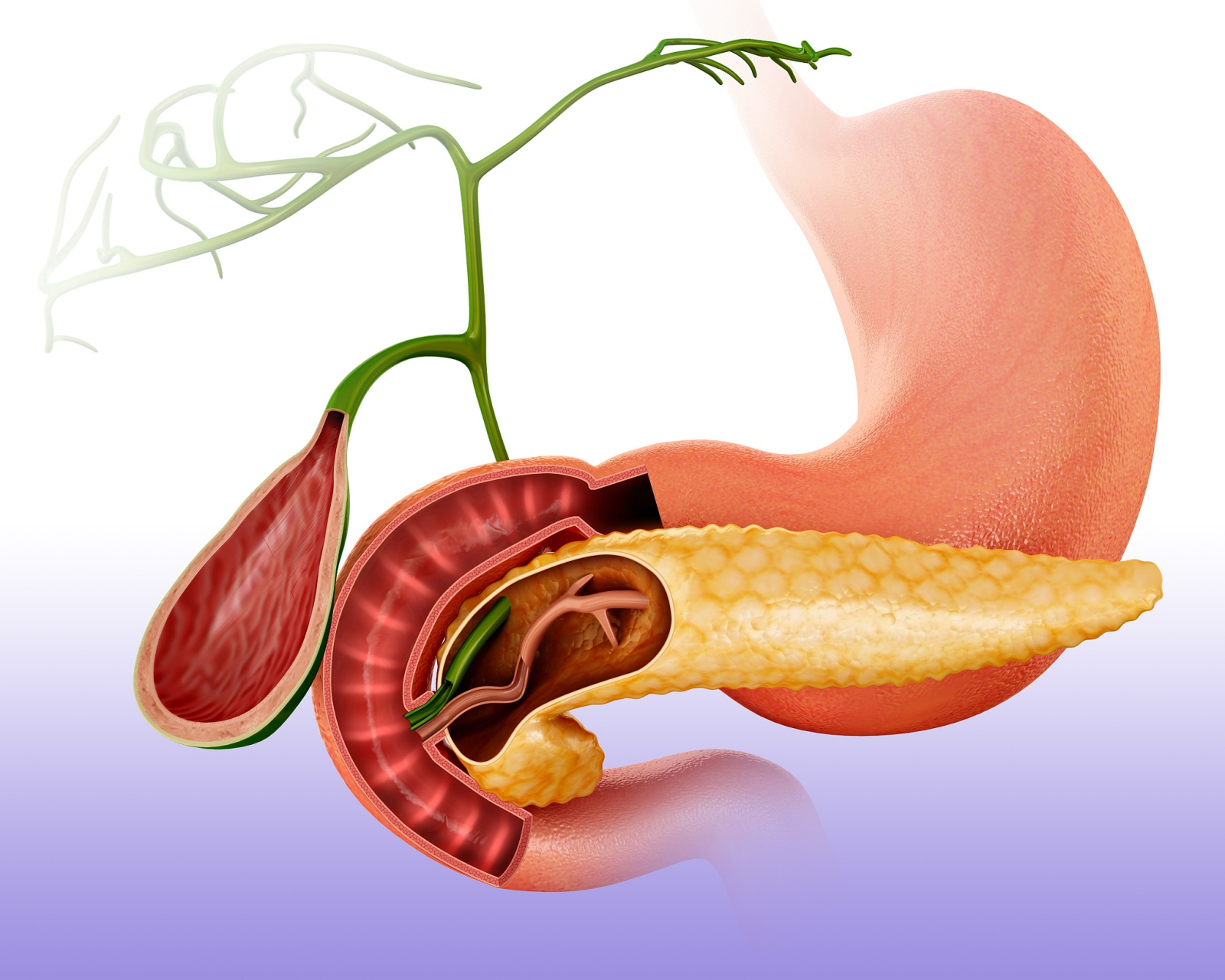 人没了胆囊,身体会有什么变化?4种疾病或会找上门,能不切别切