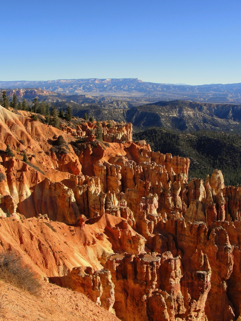 科罗拉多大峡谷位于美国亚利桑那州(arizona)西北部,科罗拉多高原西