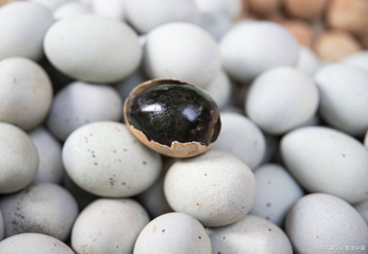 营养,吃法,禁忌全知晓 甲鱼蛋,也就是鳖蛋,是可以吃的,而且营养丰富