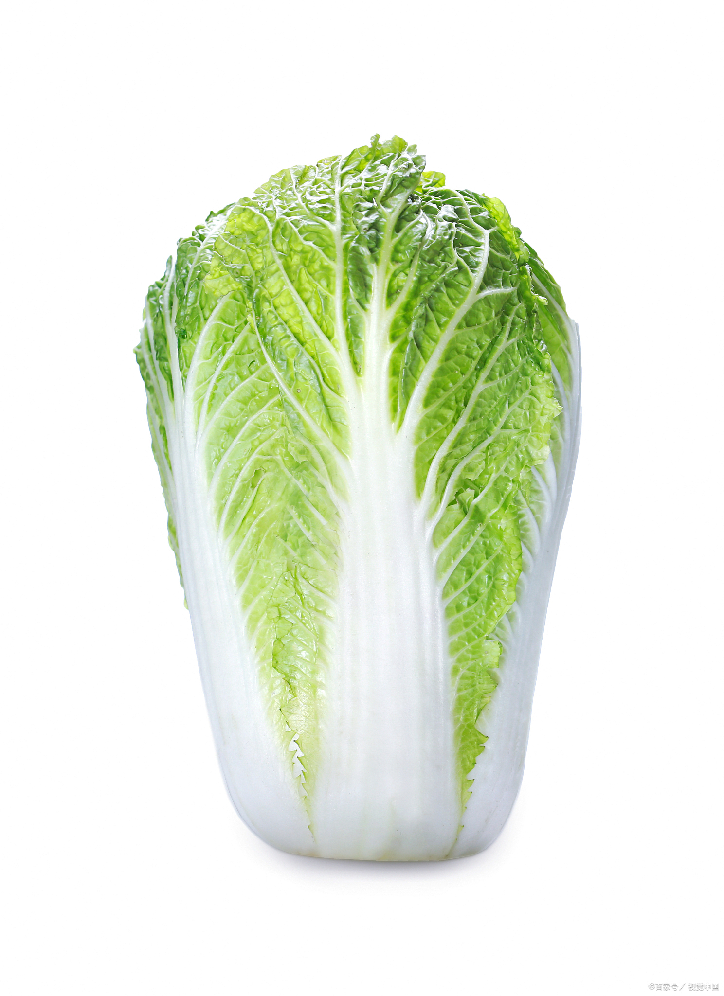 不怕重茬的蔬菜主要包括以下两类: 十字花科蔬菜:这类蔬菜非常耐重茬