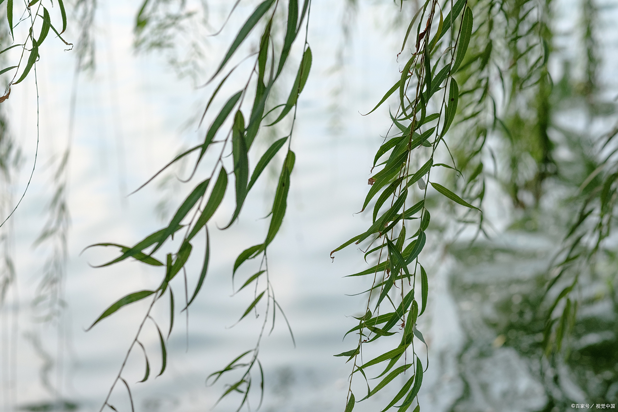 后日五月十一,纯火红沙日,上下重复,不做三事,分别指的是啥?