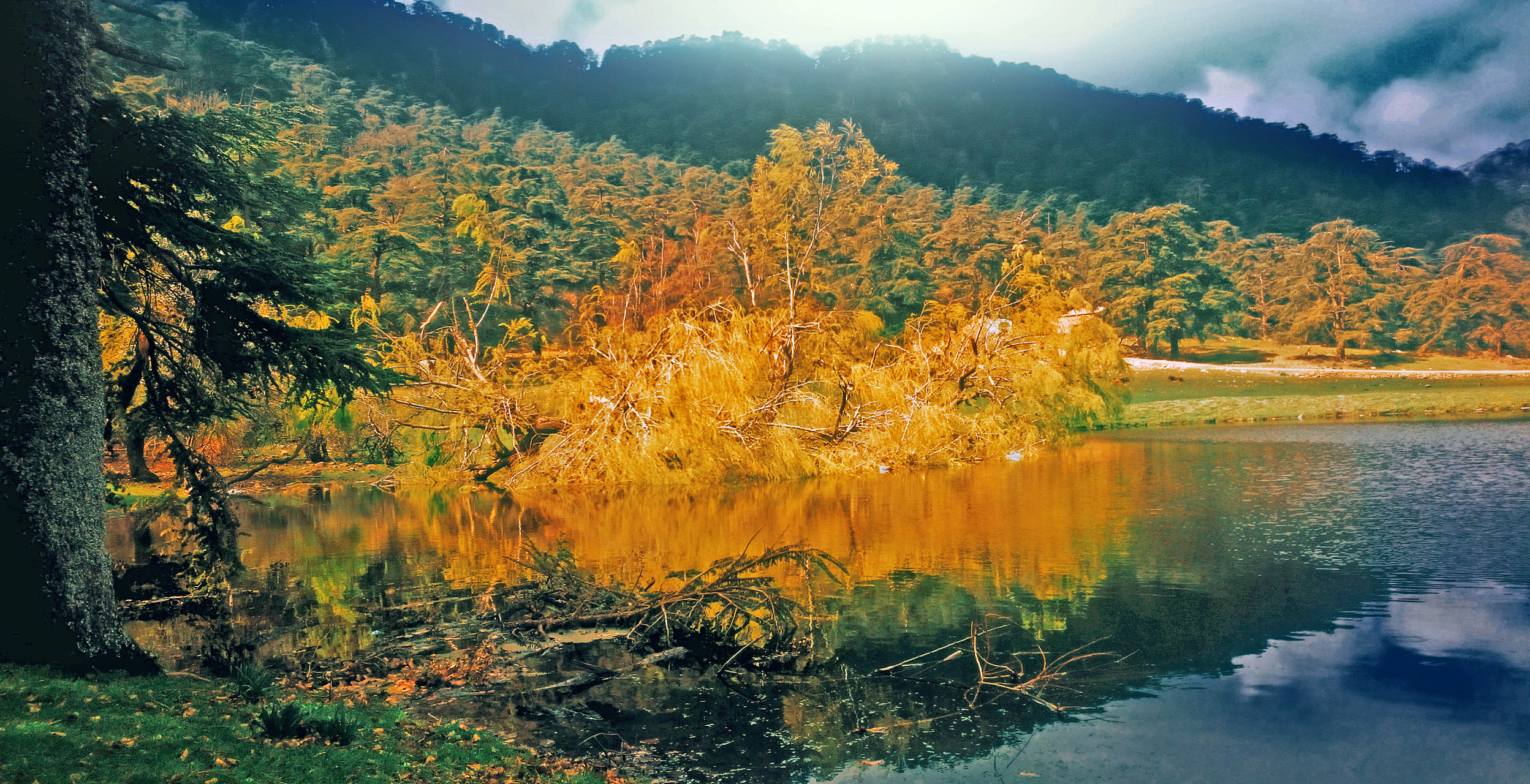 重庆秋天风景:金色的山峦与碧绿的江水交织  重庆,这座山城,不仅以其