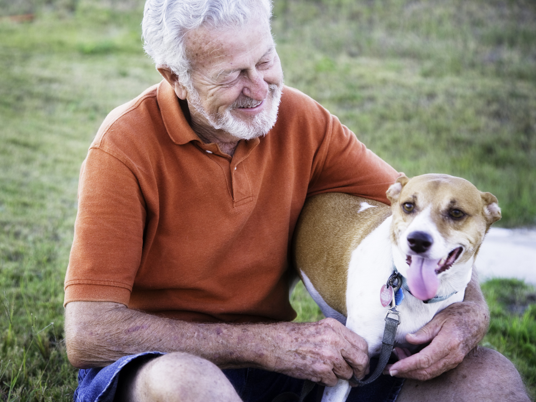 云南大理,大爷回家途中看见一只流浪狗,见模样不错,就顺手将狗带回家