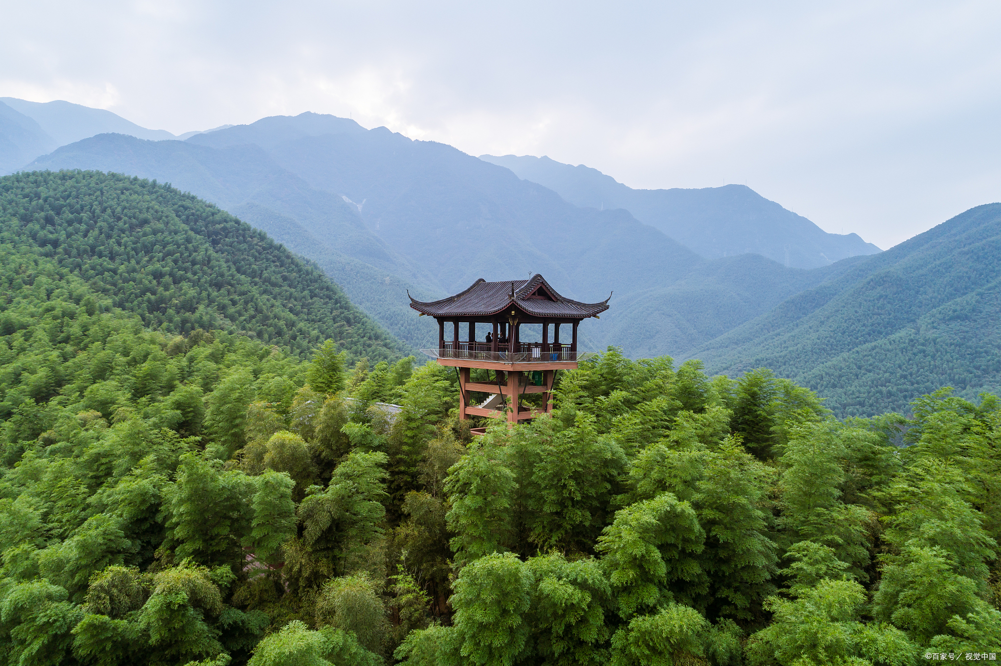 南山竹海资料图片