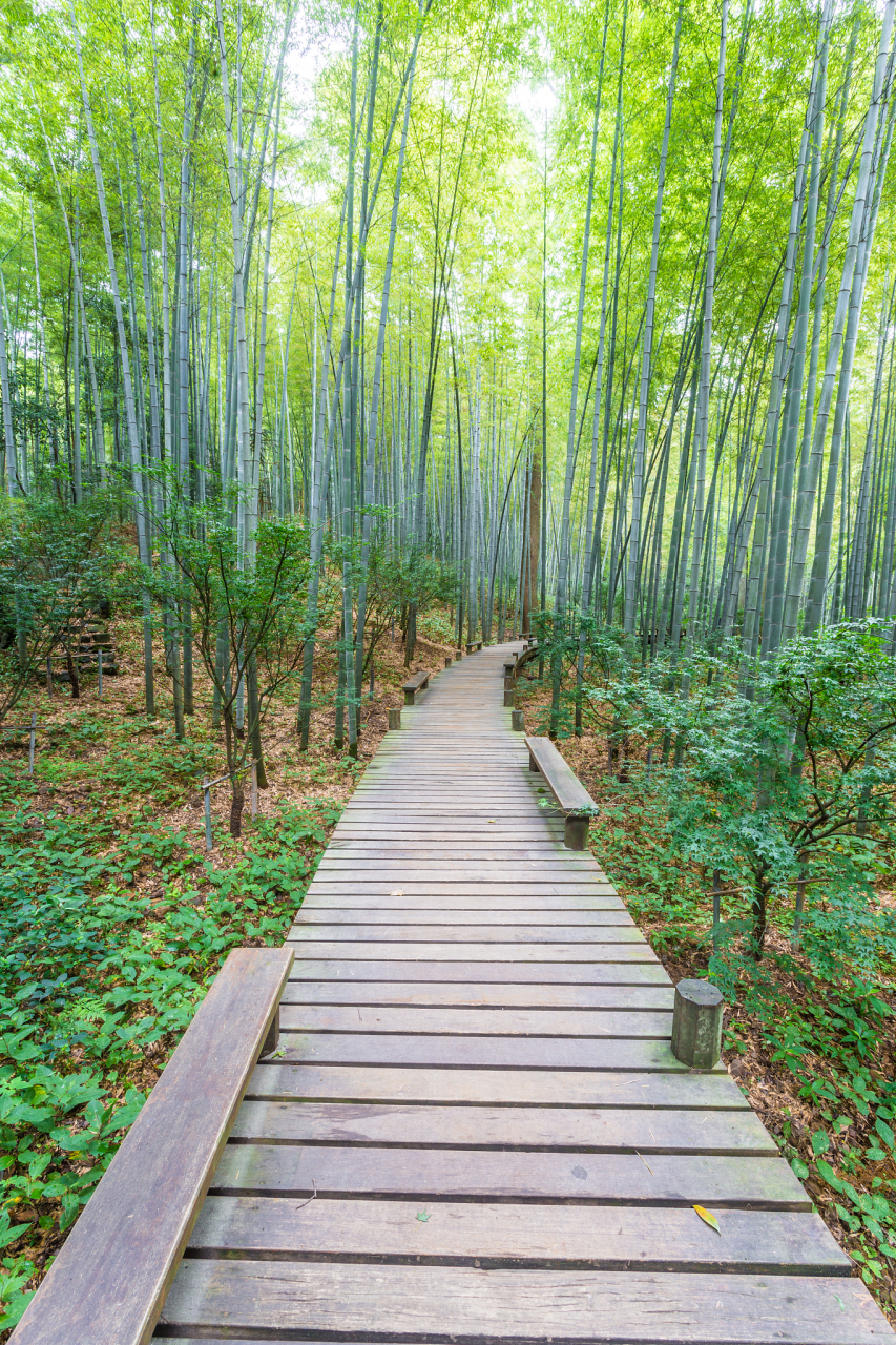 拥有翠竹公园,竹镇古镇和竹镇湖等三大旅游景点