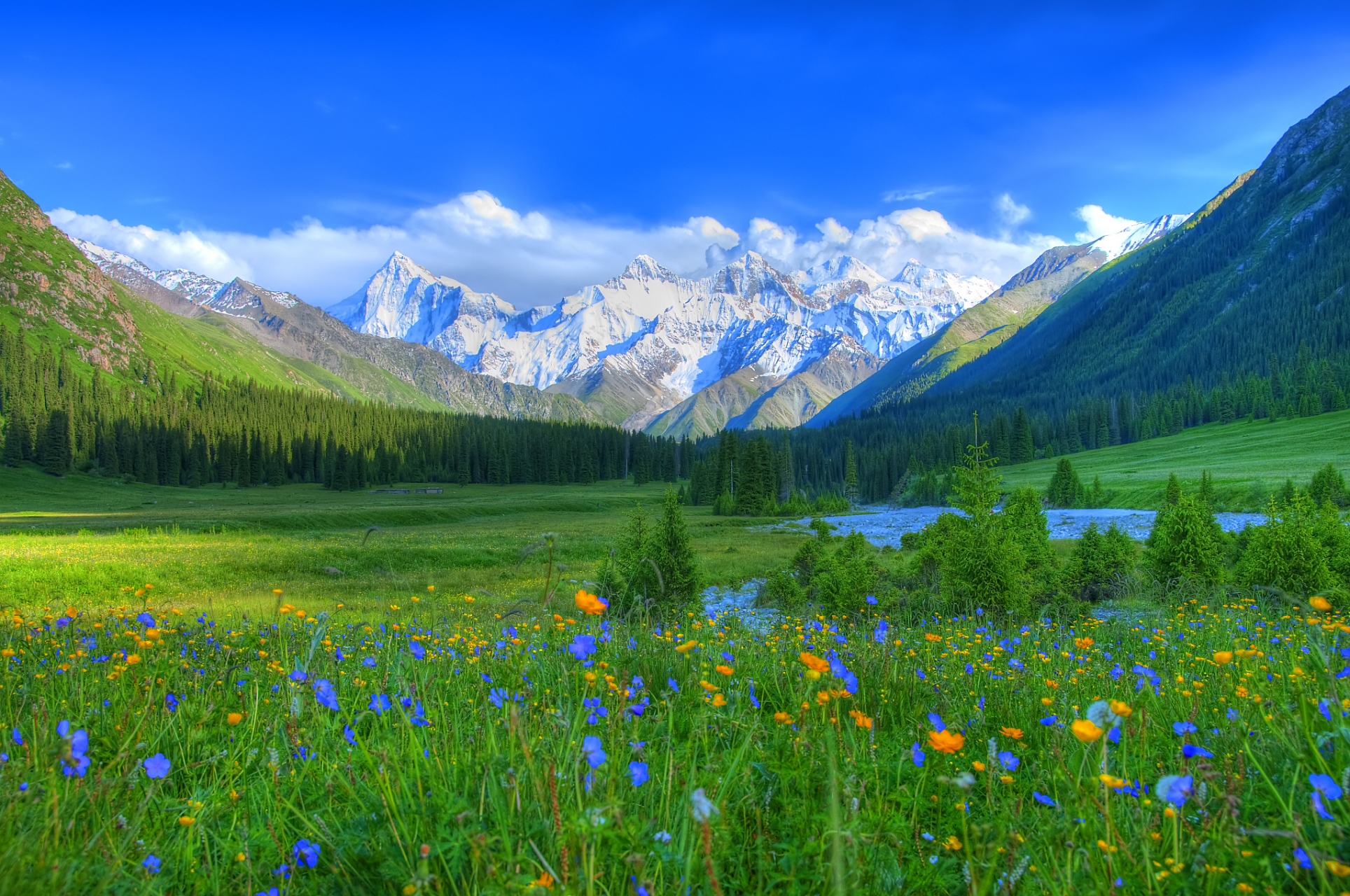 奇遇那拉提#新疆那拉提雪莲谷是新疆著名的自然景区之一,在白天已经