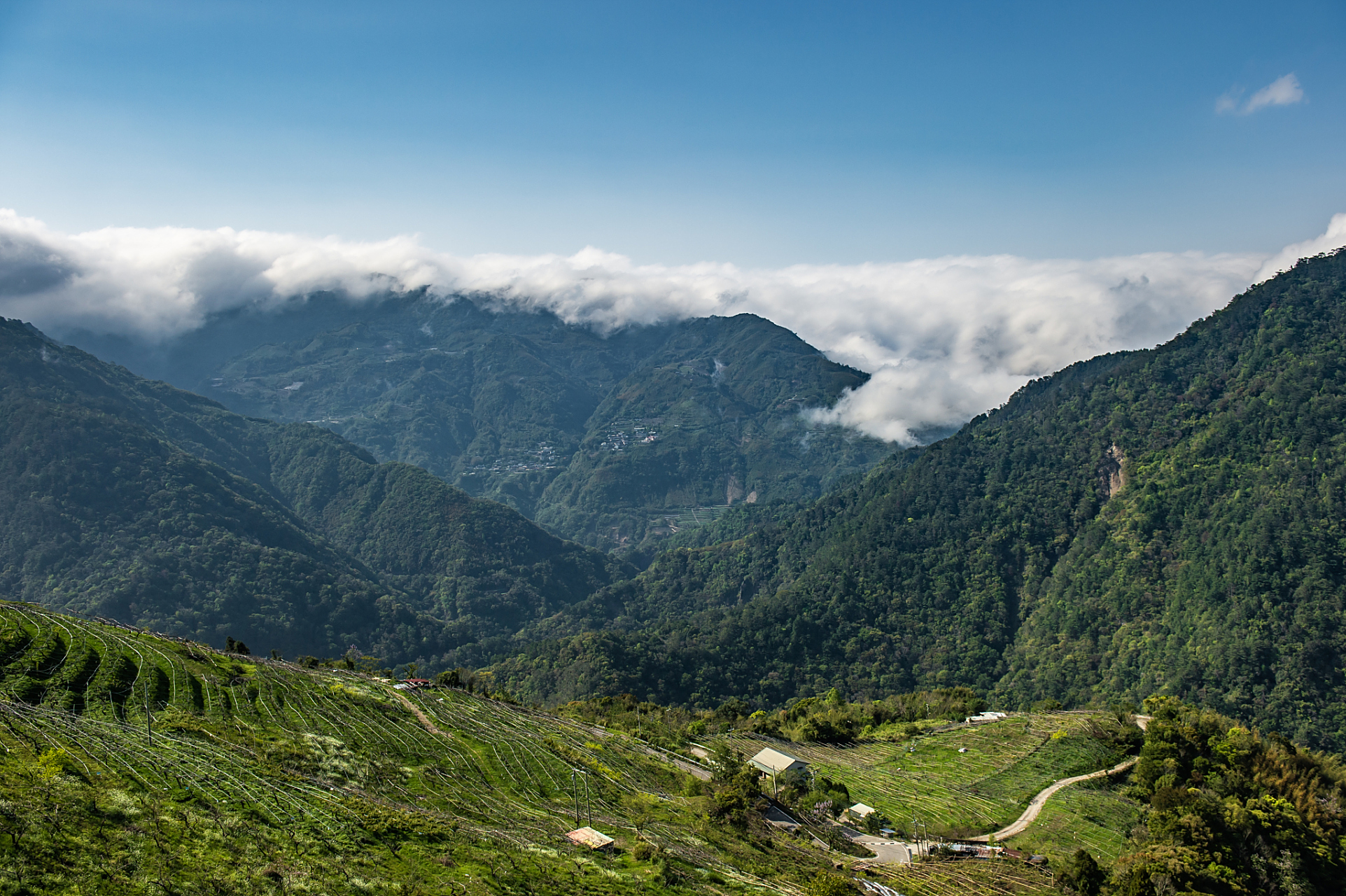 高黎贡山属中国青藏高原南部,是由印度板块和欧亚板块相碰撞及板块