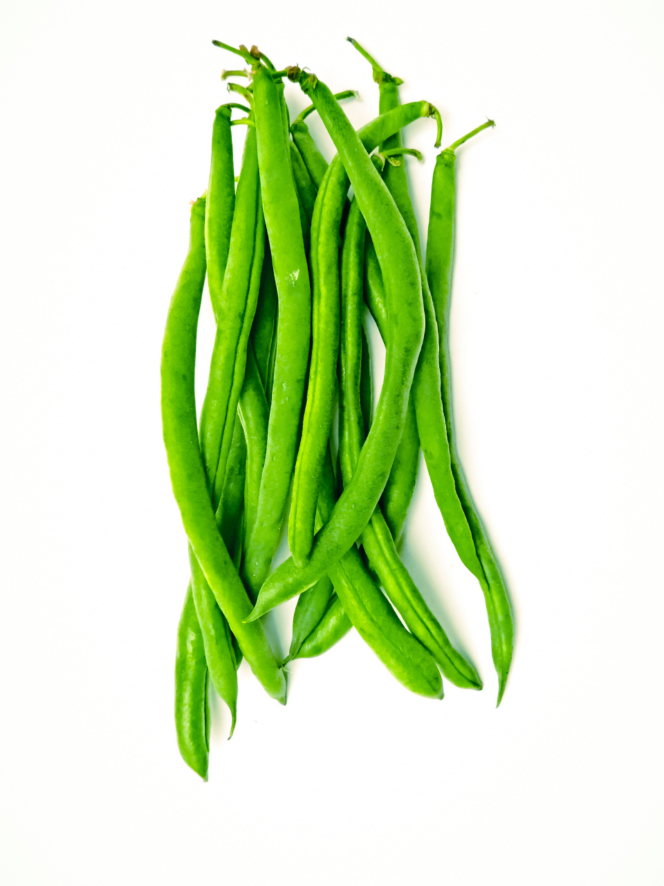 豆角,这一常见的蔬菜,种植起来却需要一些技巧.