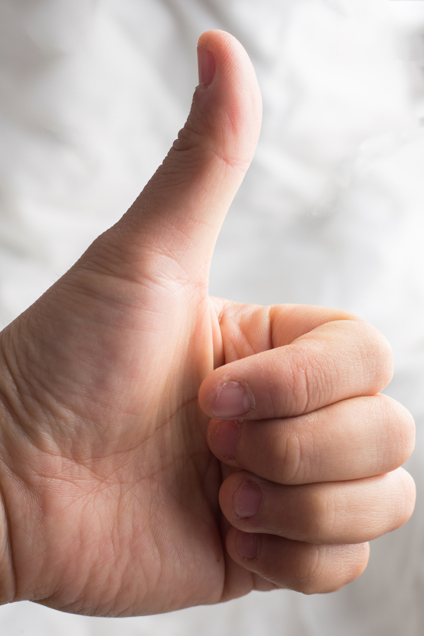 信息学奥赛#每日分享: