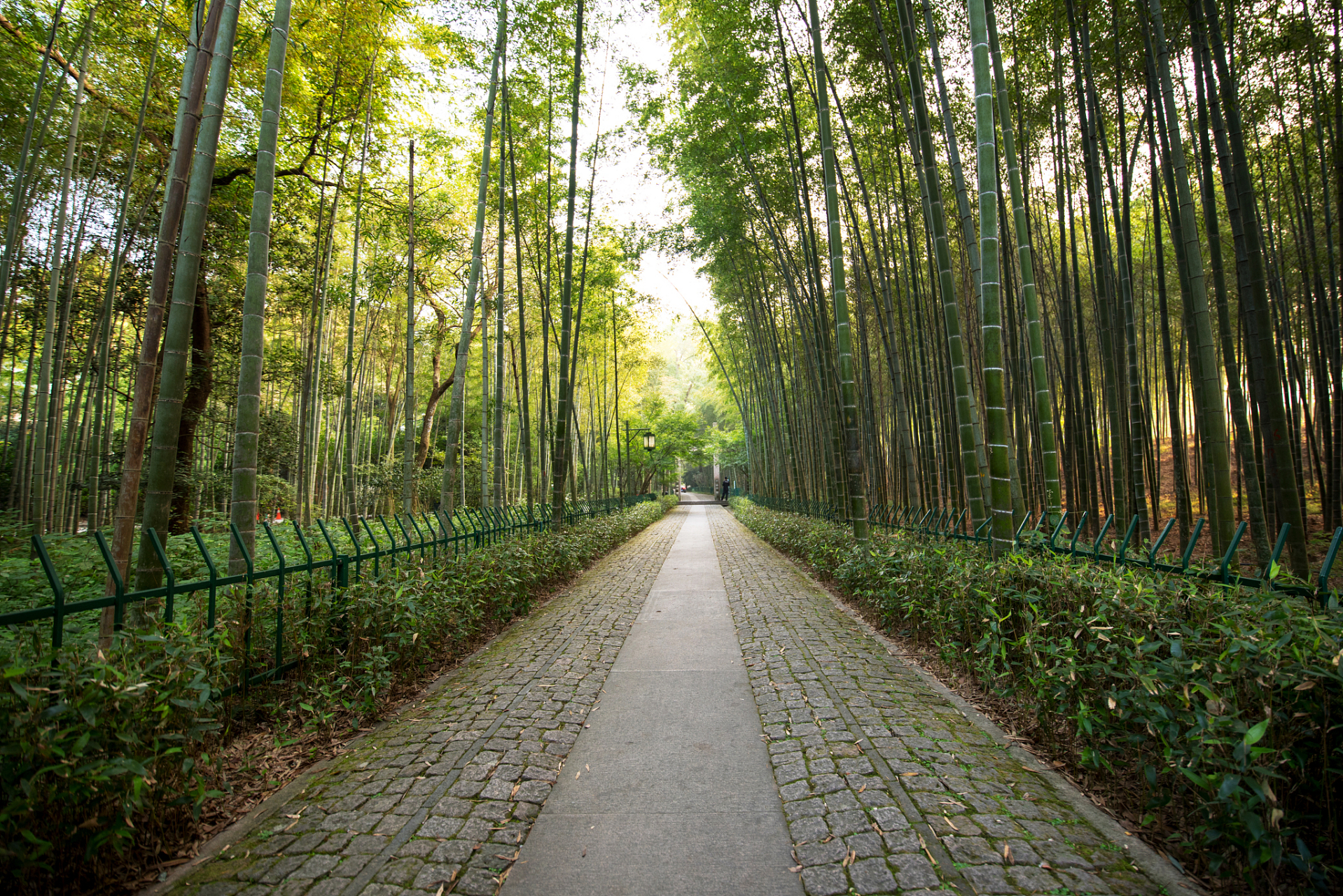 云栖竹径景点介绍|云栖竹径是位于杭州市五云山南麓的云栖坞里的一处