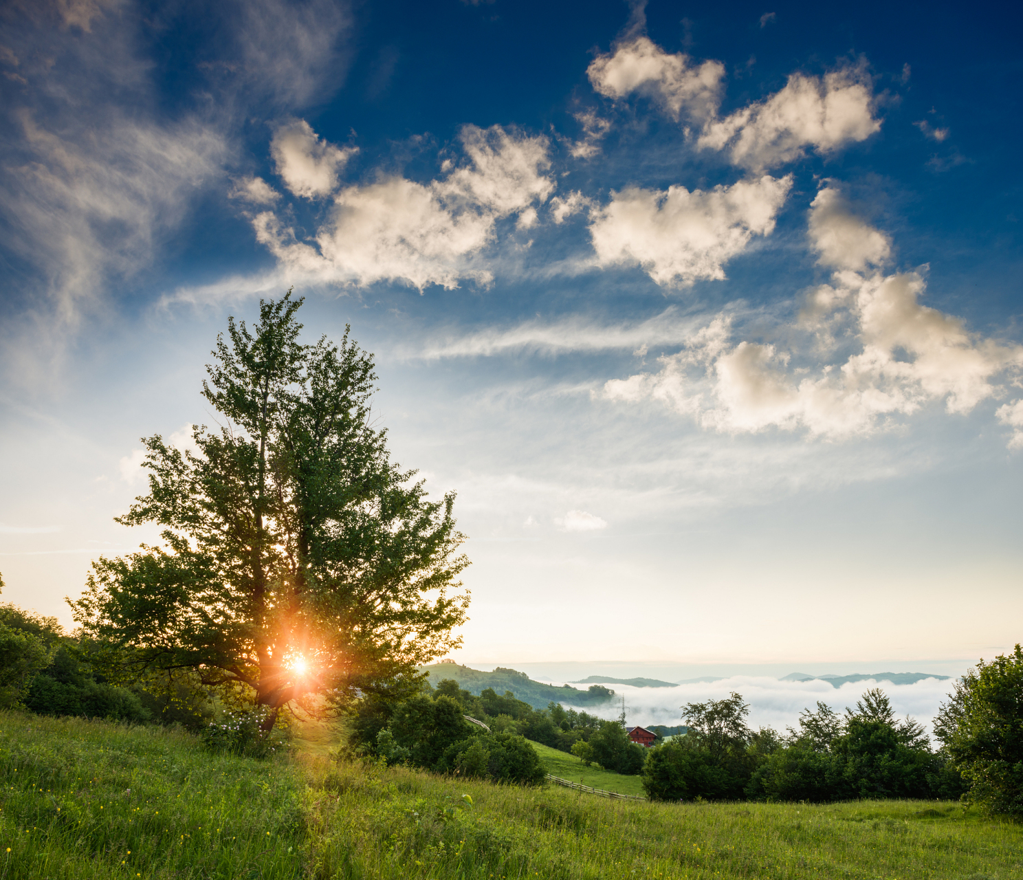 每日生活记录118:今天早晨六点去买早餐,无意中抬头看了一眼天空,竟然