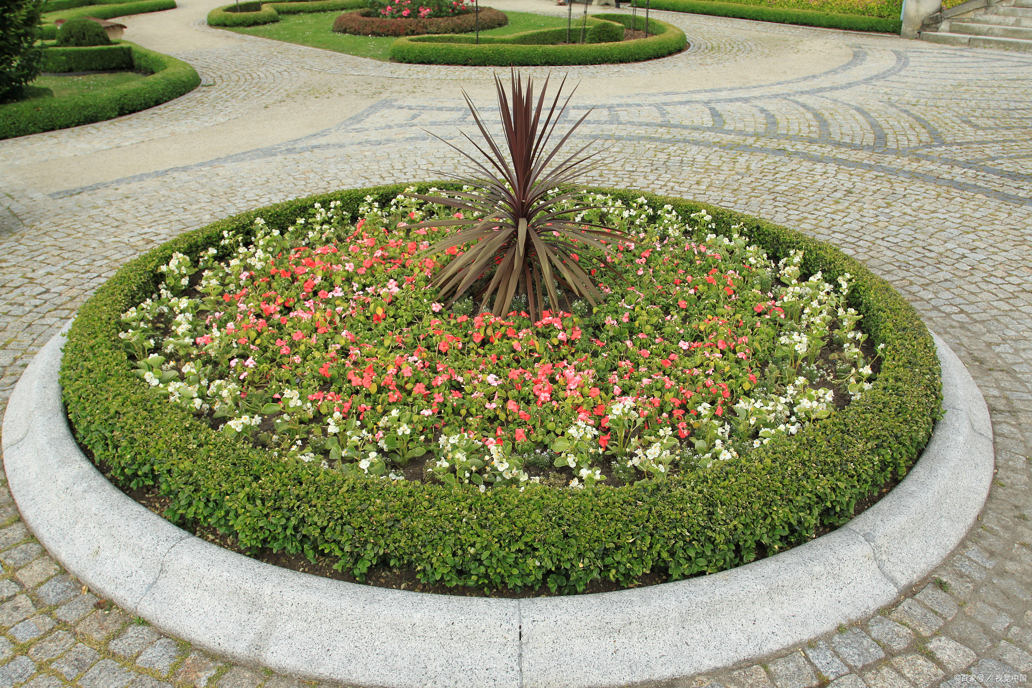 题目分析:求花坛的占地面积,就是求直径是8 m的圆形的面积是多少?