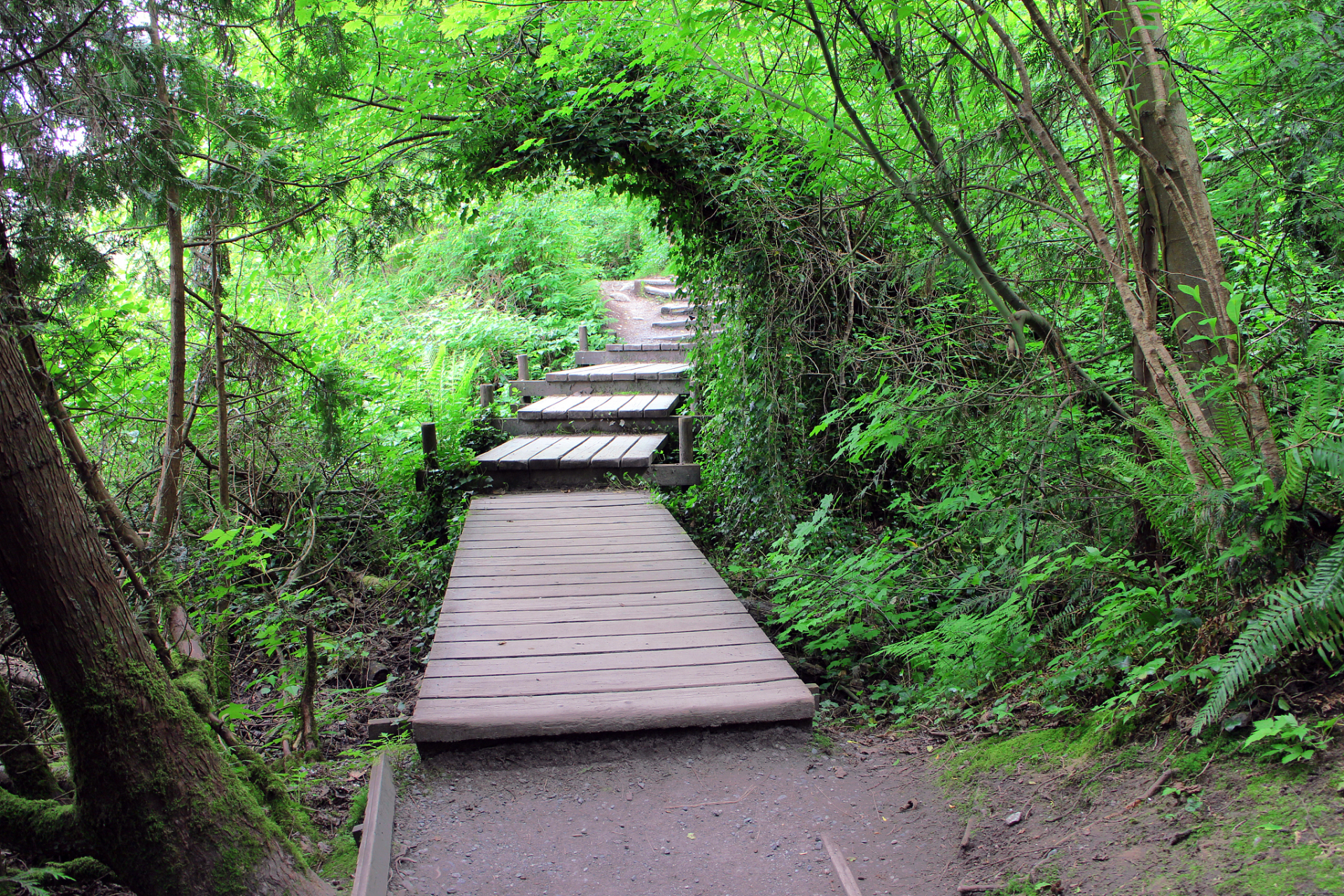 杭州西山森林公园位于西湖区中部,距离杭州市中心约10公里,与西溪湿地