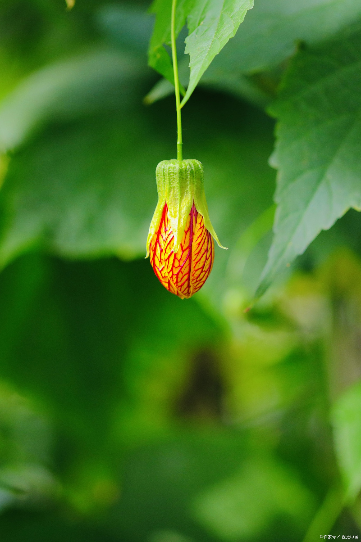 1.多和快离职的同事说话,会有收获的. 2