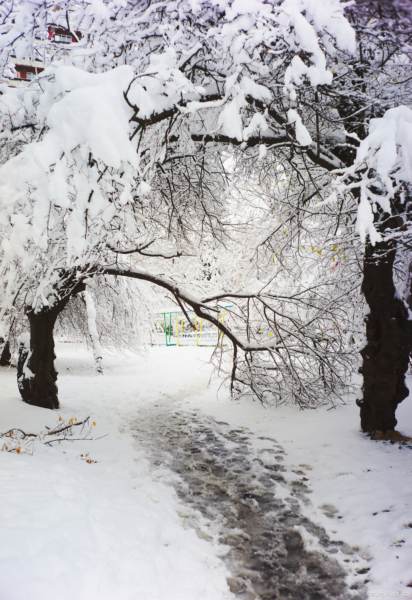 岭头飞雪日图片