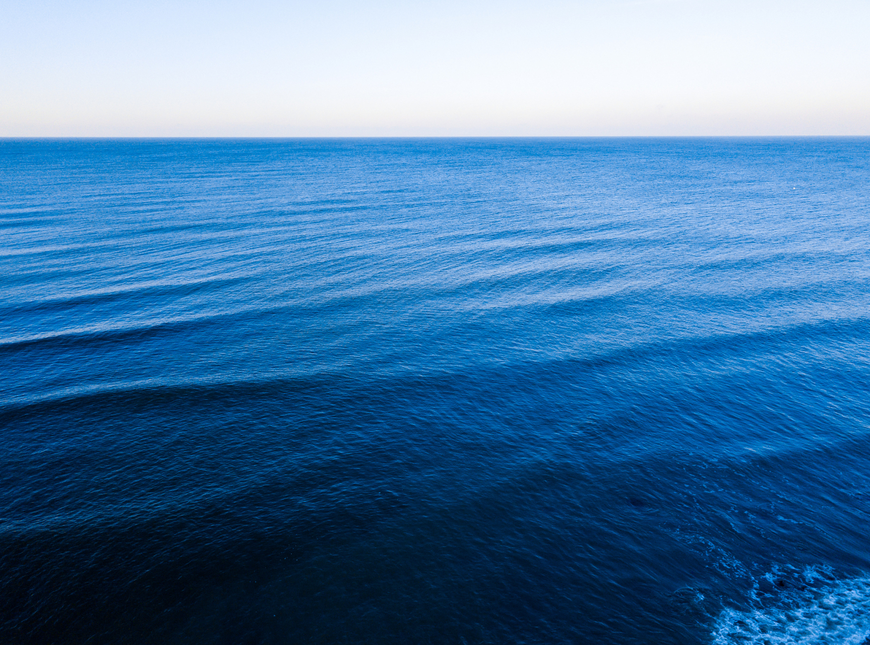 海洋是地球上最广阔的生态系统之一,其中包含着数量众多,种类丰富的