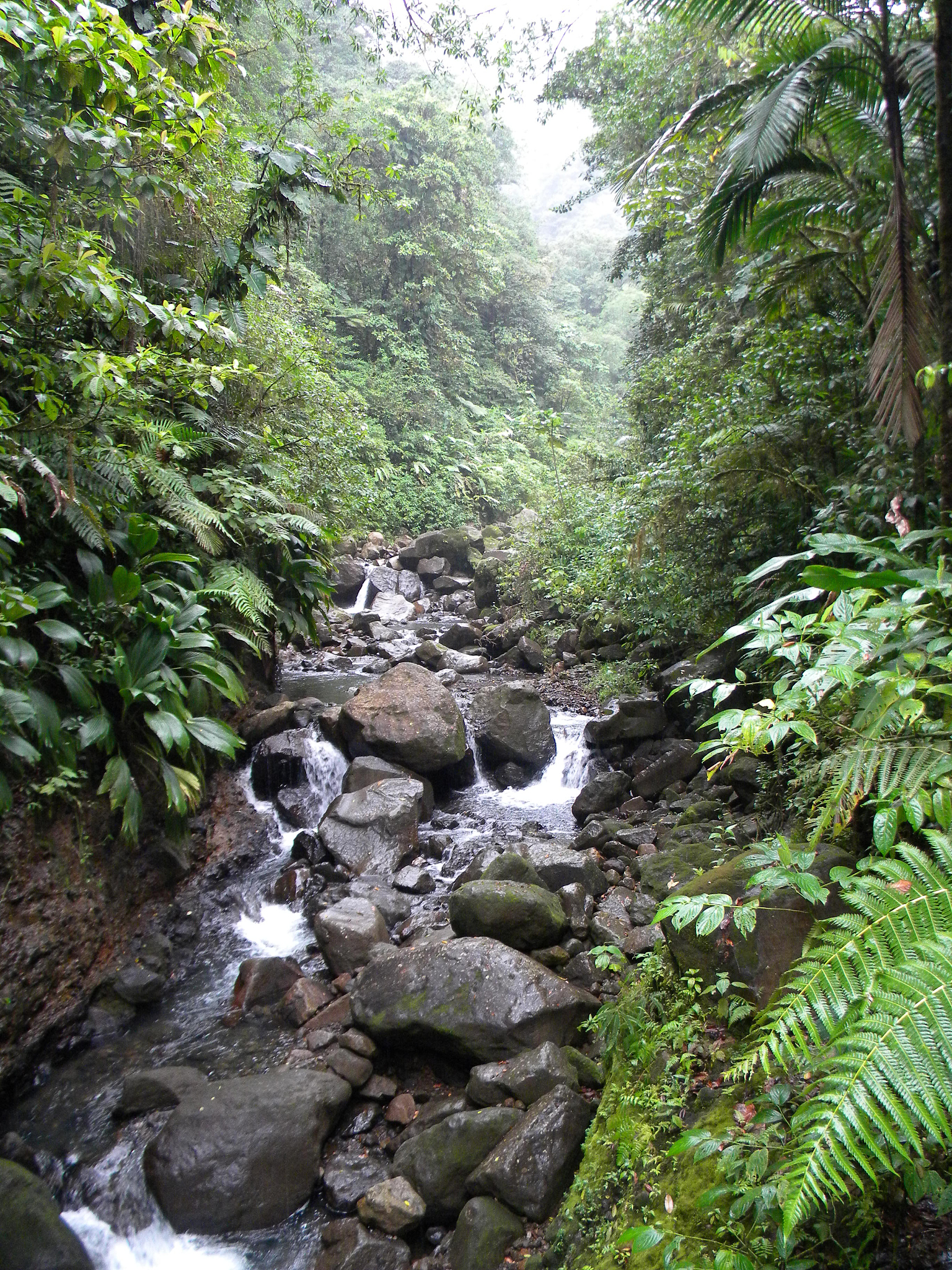 游六安龙井沟风景区,探寻自然野趣与悠闲时光 嘿,朋友们,这次我要带
