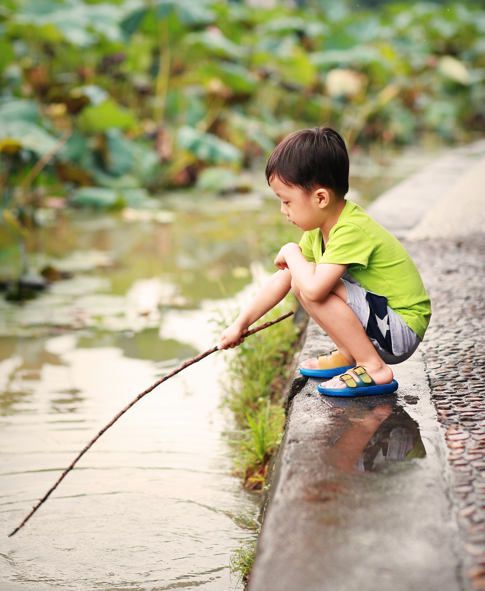 藏在稻田里的十二种童年玩伴
