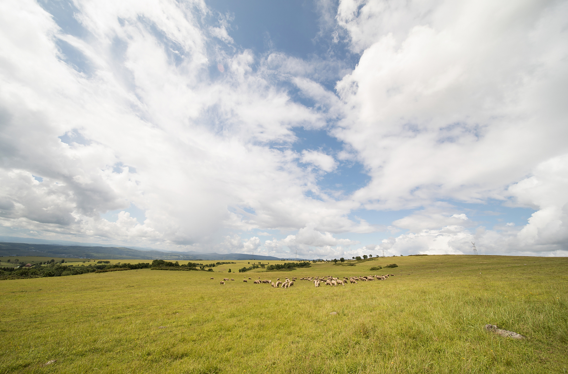 自驾穿越草原,感受自然美景和多元文化,品尝当地美食