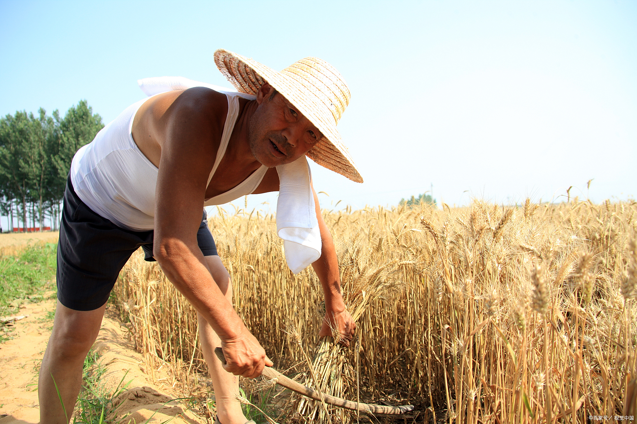 人农民干活农民辛勤劳作图片农民农村干活农民辛勤劳动图片大全辛苦