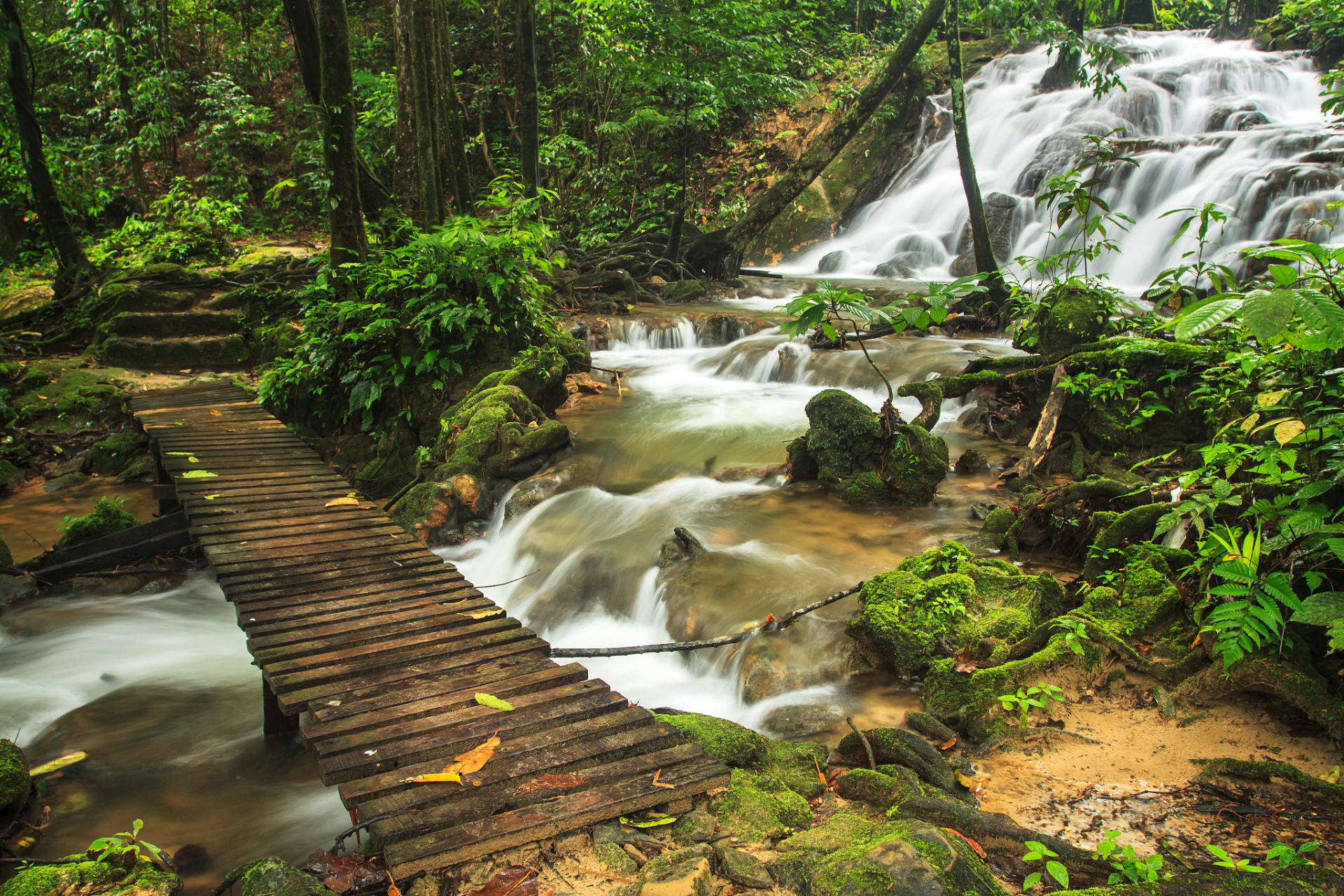 江西安远的三百山,是香港居民的饮用水源头,被誉为"东江之源".