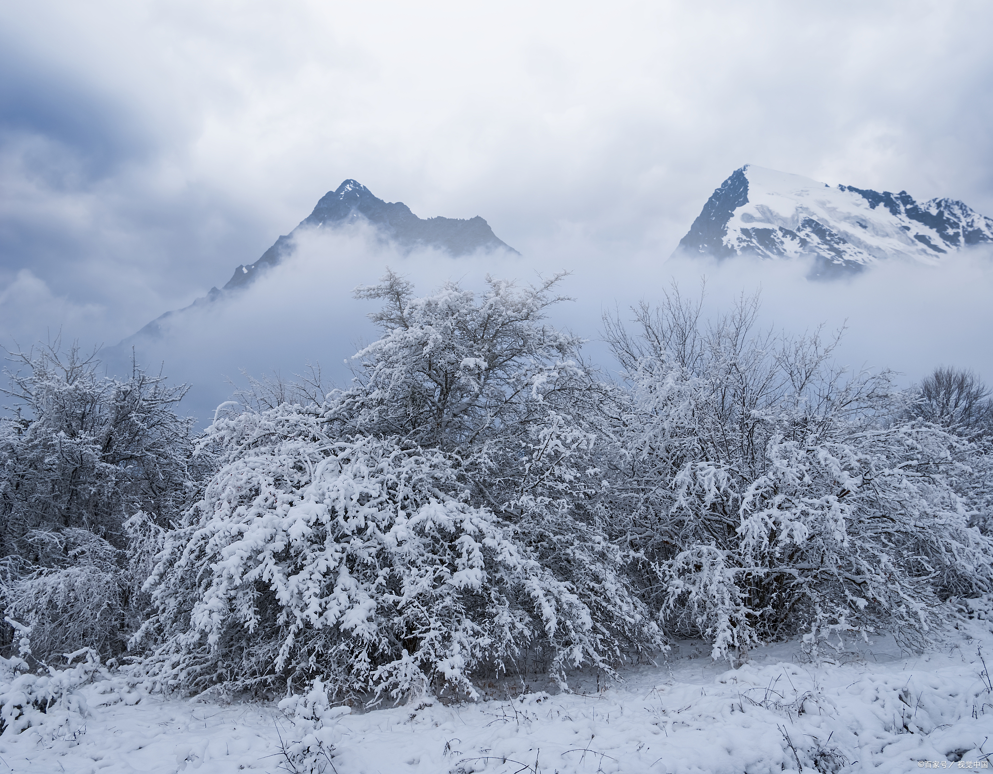 武夷山下雪了图片