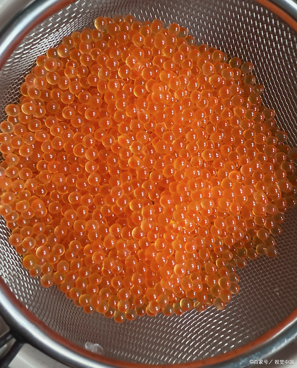 孕妇能吃鱼籽吗?