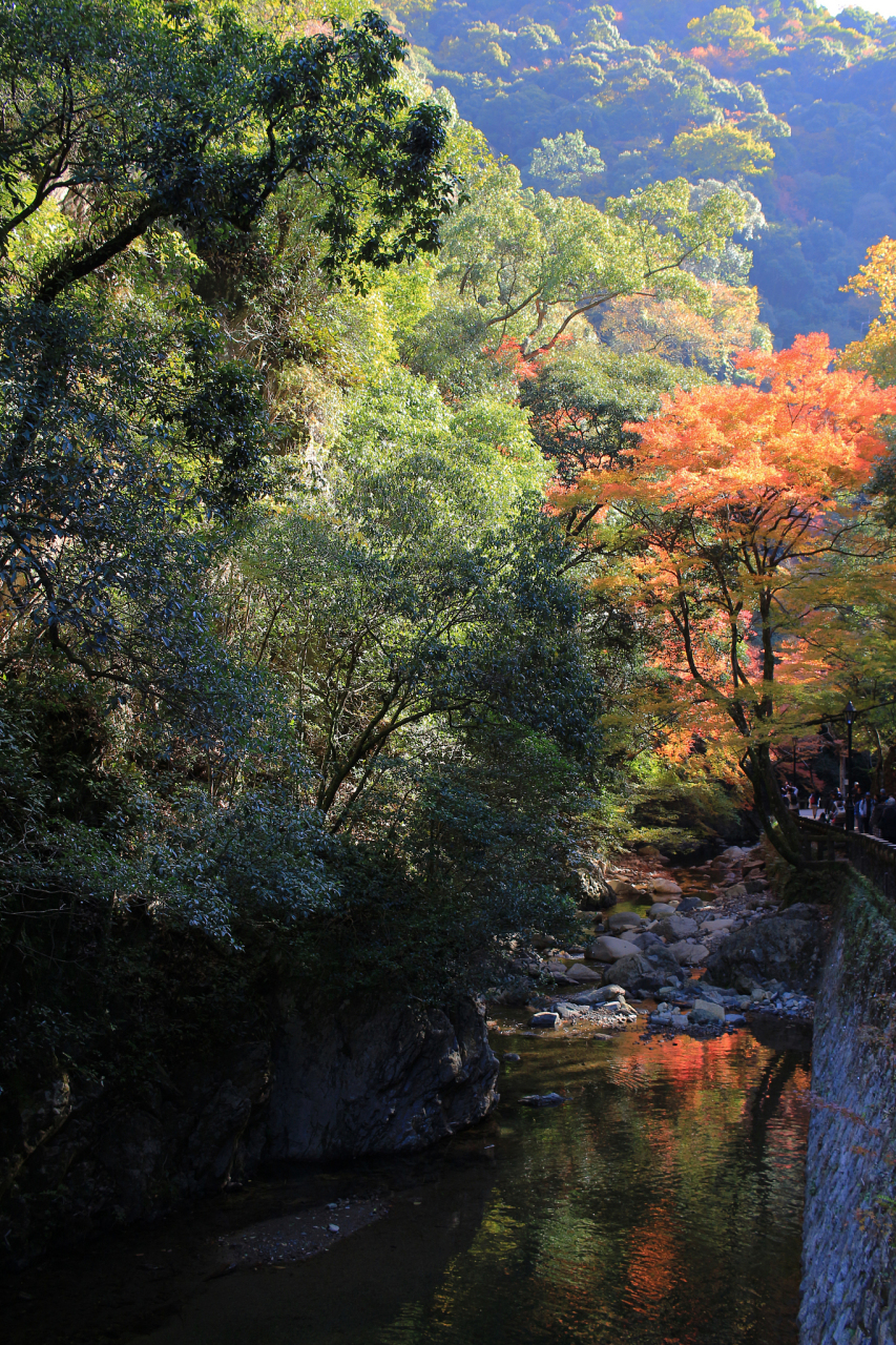 邛崃天台山旅游风景区图片