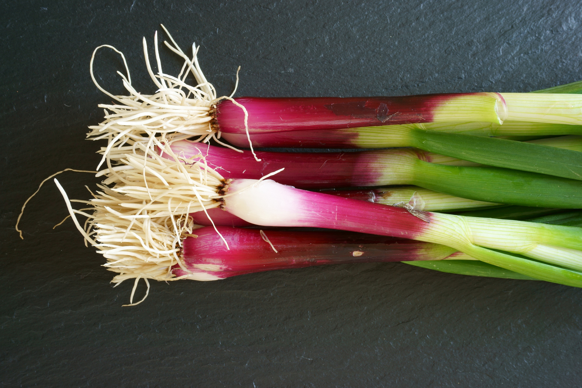 aggregatum,属于葱属植物中的一种.