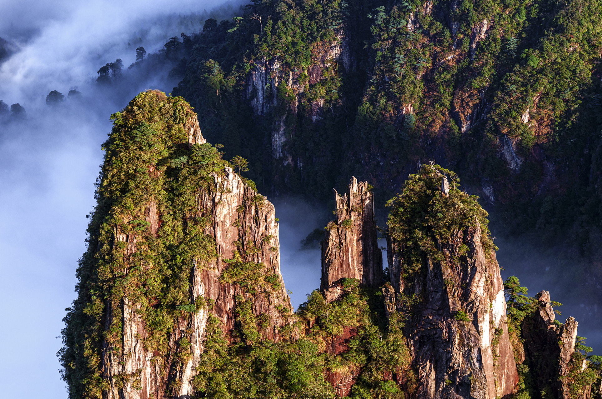 湖南省郴州市宜章县南部的五岭群山中 ,风光绚丽的绿色宝库.
