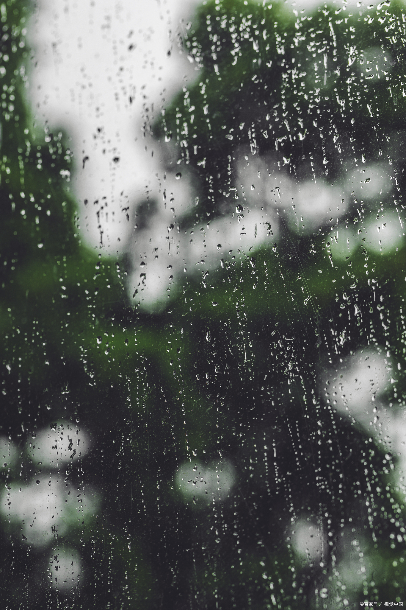 下雨天图片 心情唯美图片