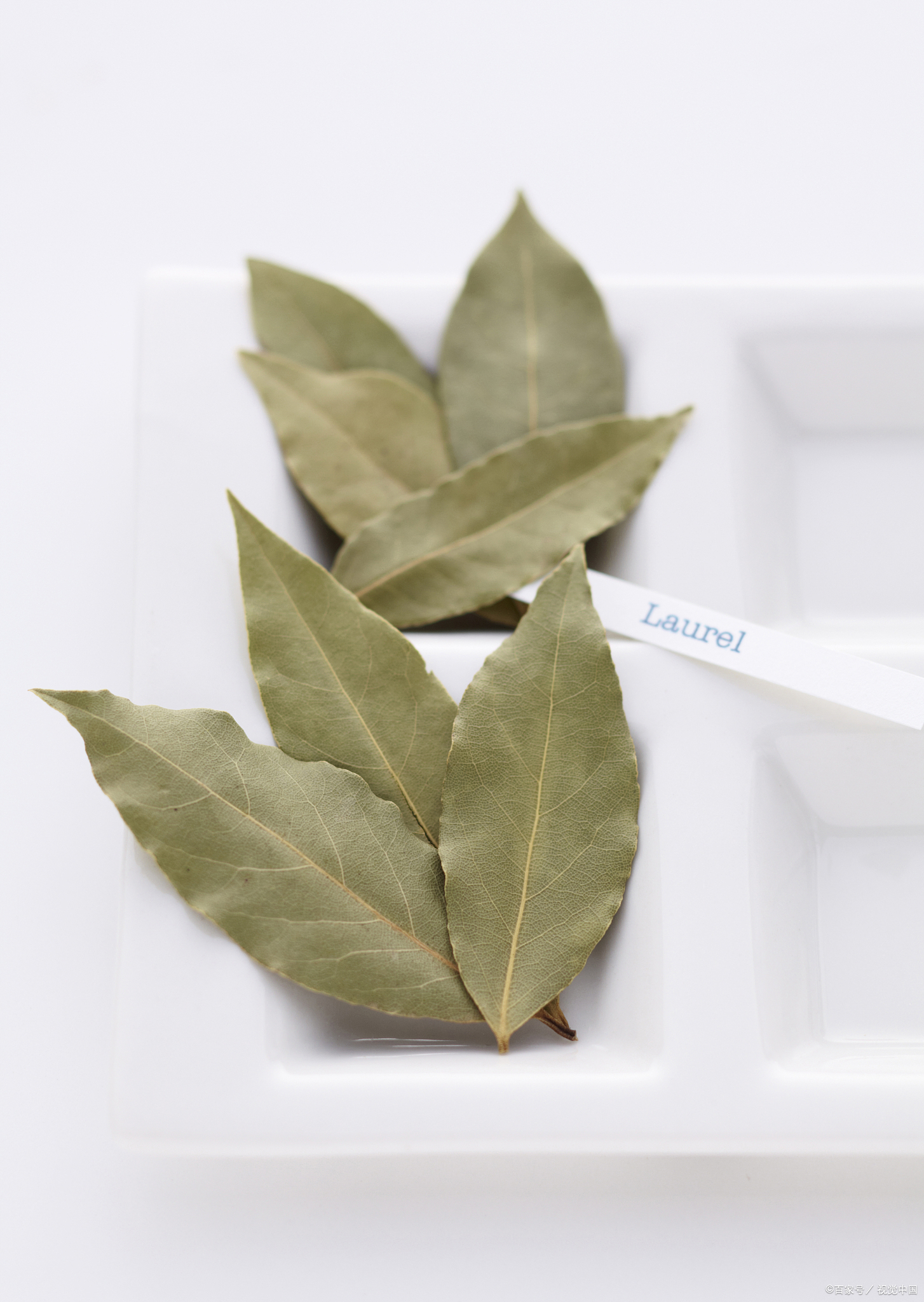 香料中的小清新香叶,在卤水香料的复合应用里的就业方向