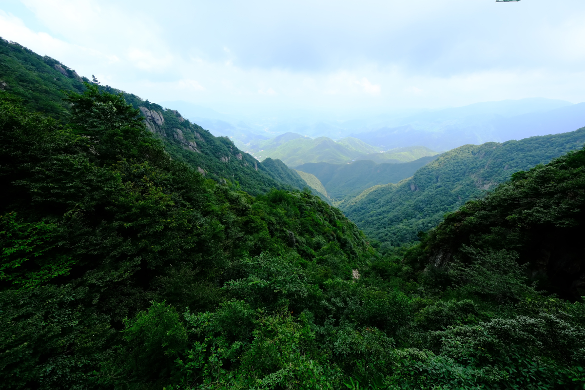 陕西天竺山森林公园图片