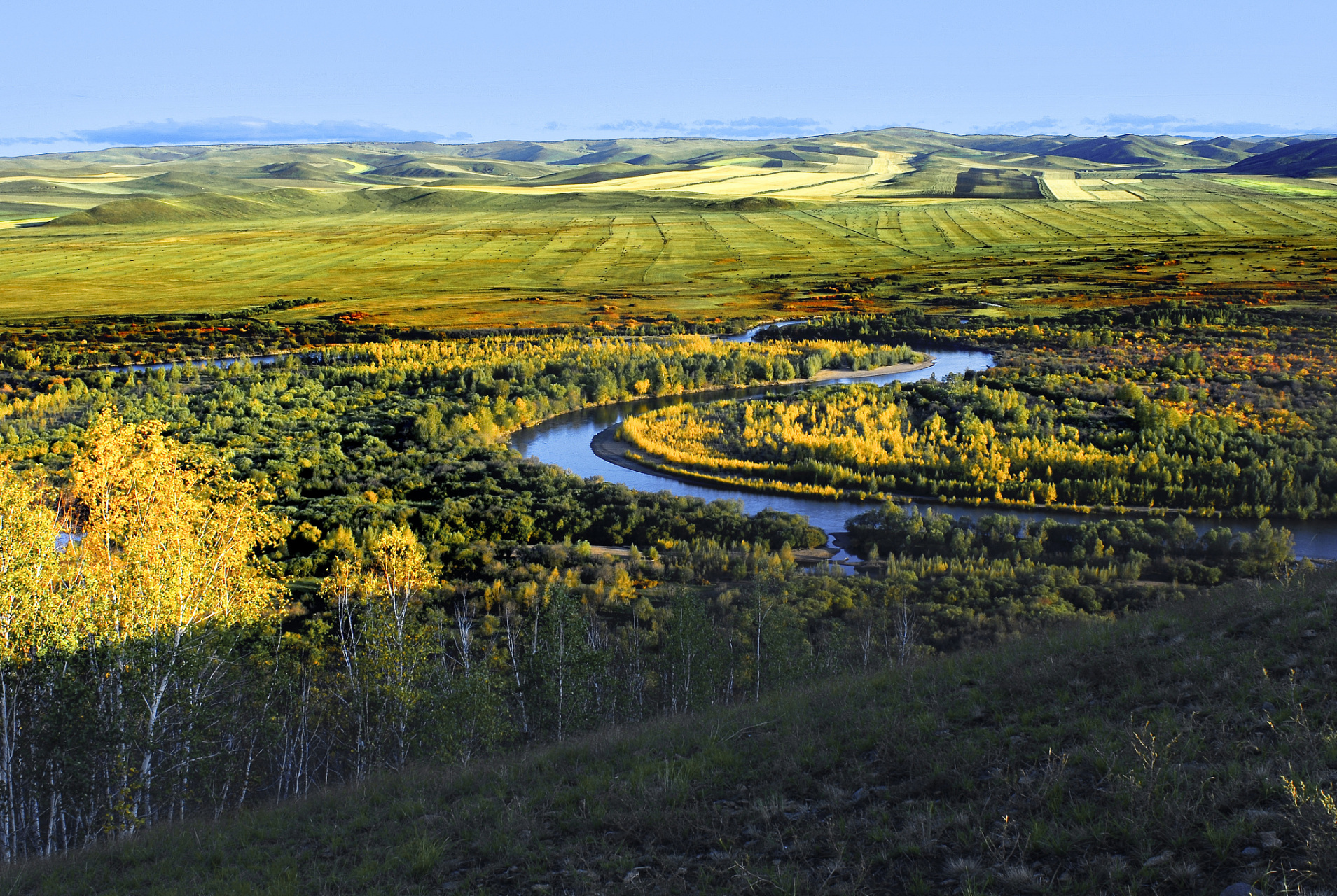 奇遇那拉提#新疆那拉提巩乃斯河景区是一个风景秀丽的地方,是自驾游