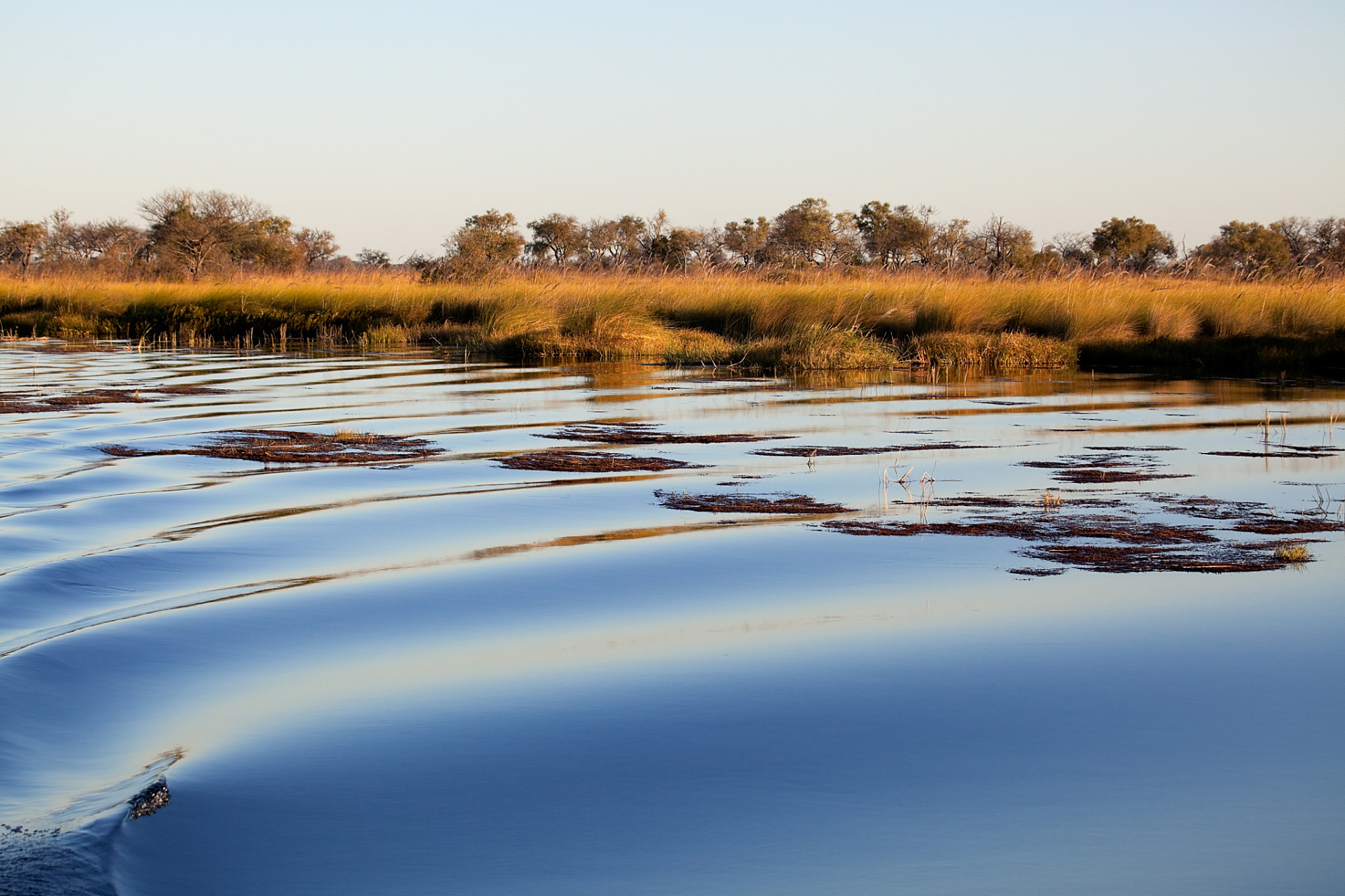哈巴湖生态旅游区,宁夏沙漠明珠,原生态自然景观,丰富生物资源,深厚