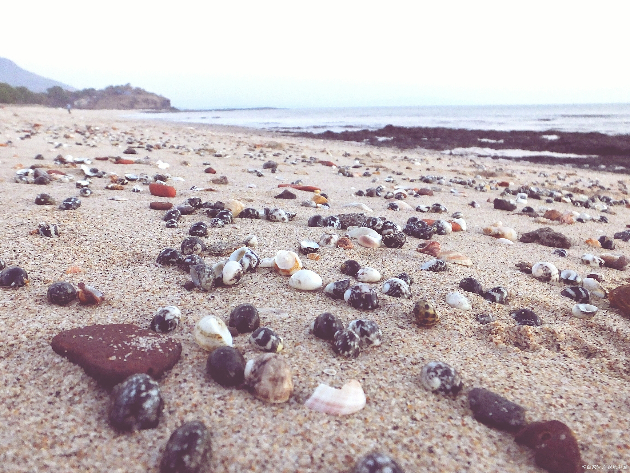 涠洲岛贝壳沙滩,北海海边拾贝超有趣!