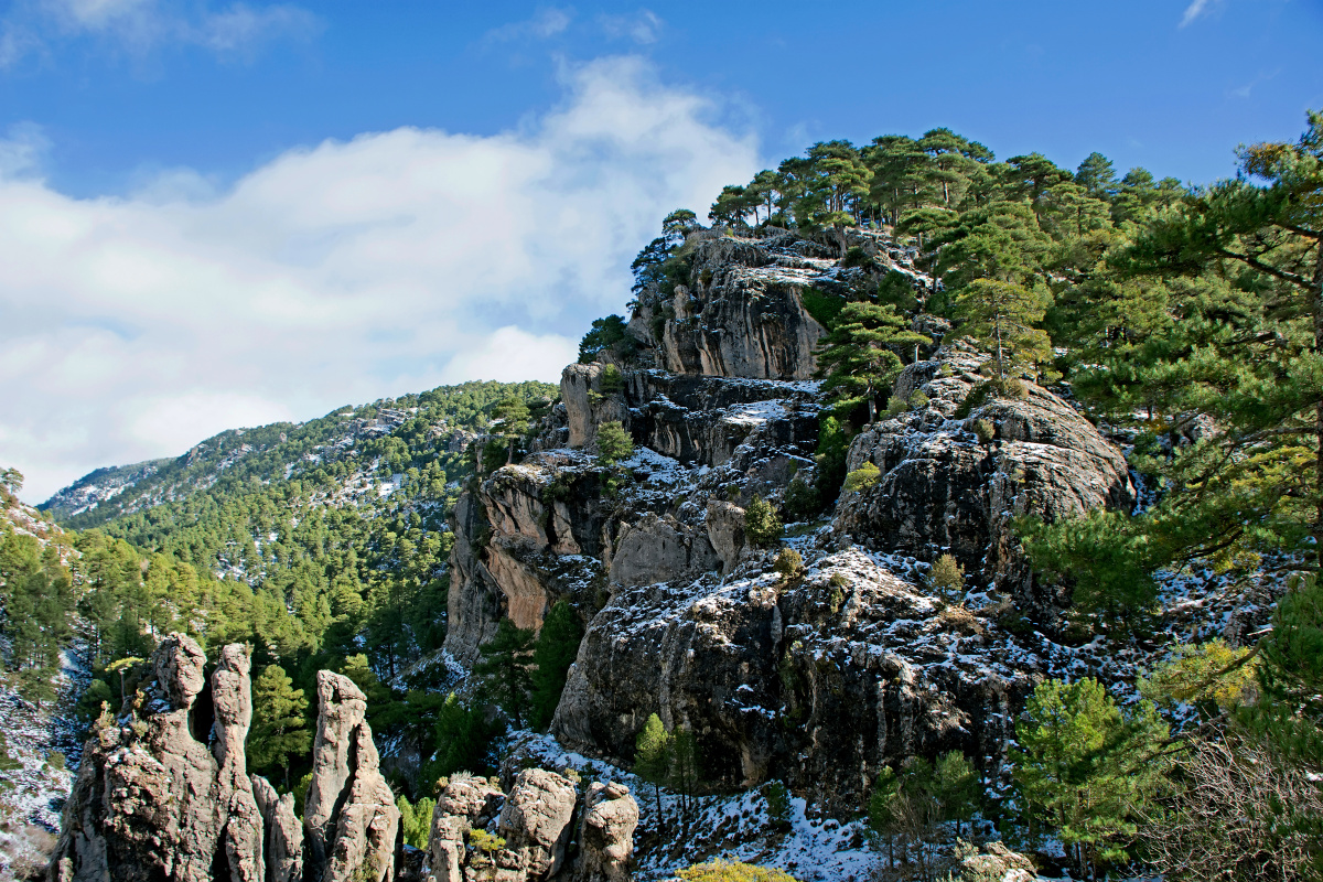 朝阳凤凰山图片大全图片