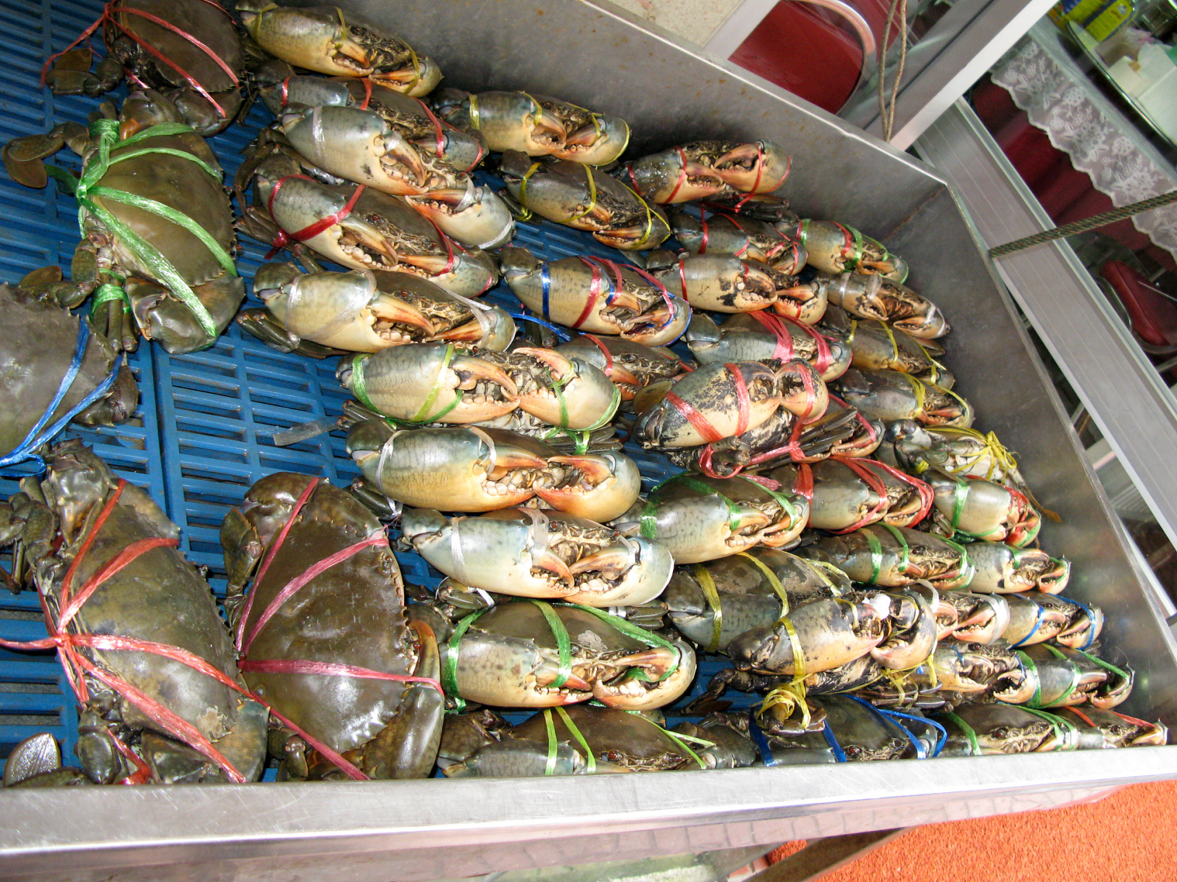 97 话说回来,石浦海鲜到底有啥特别之处呢?别急,听我慢慢道来.