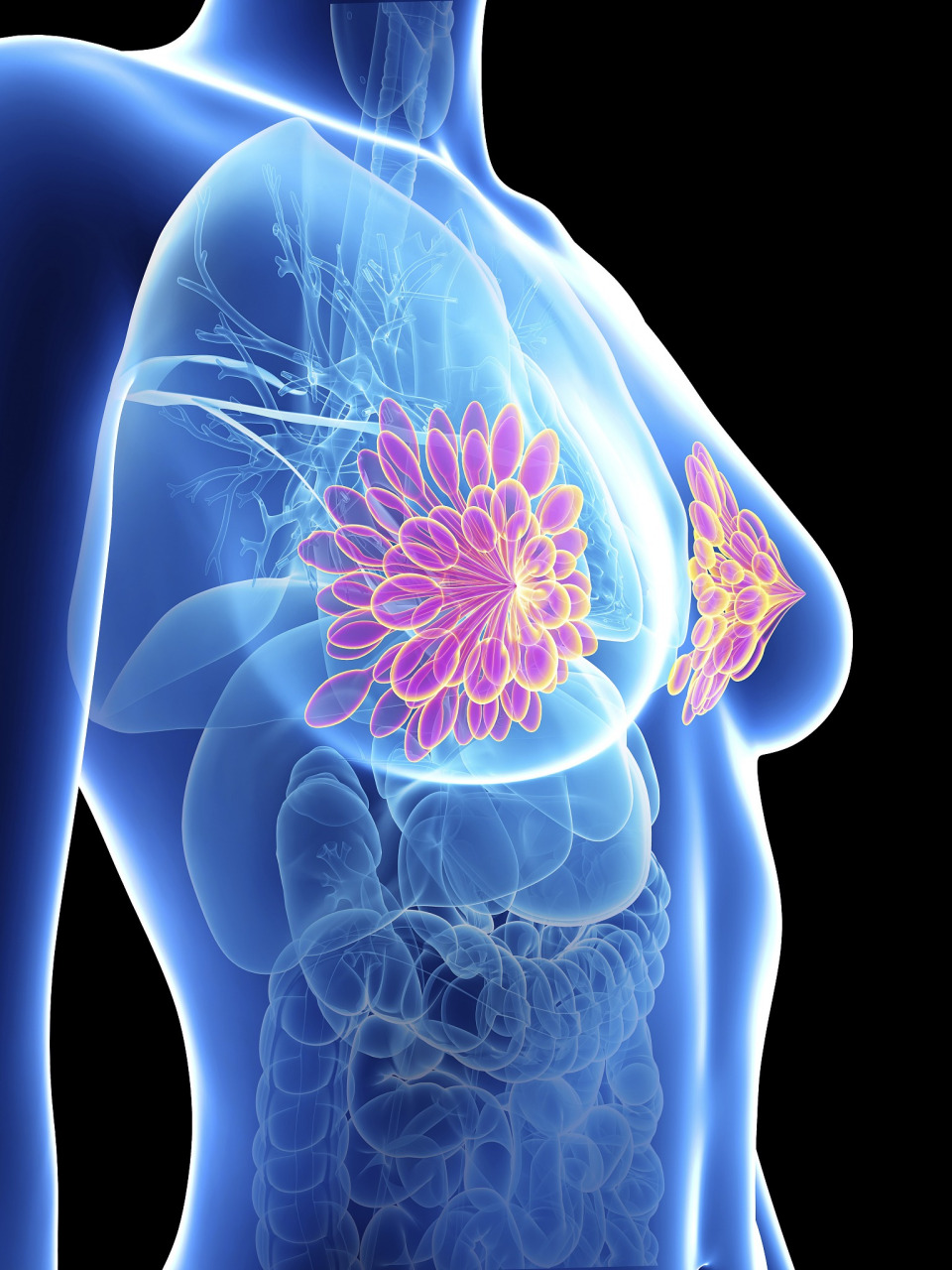 这是蒙氏结节.  它的"真身"是皮脂腺,  是用来分泌皮脂,分泌乳汁的.