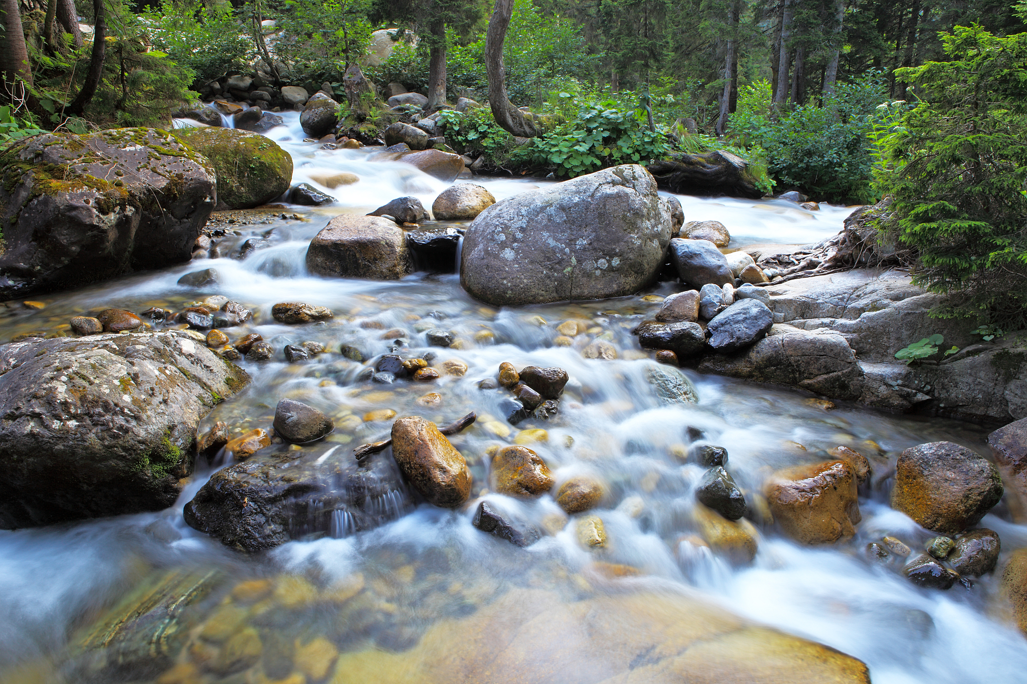 亲密接触让我感受到了它的美丽和力量,我们应该更加珍惜和保护大自然