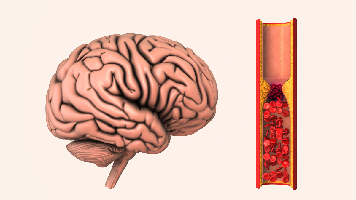 Somatostatin Pathway | Shaanxi BLOOM Tech Co., Ltd