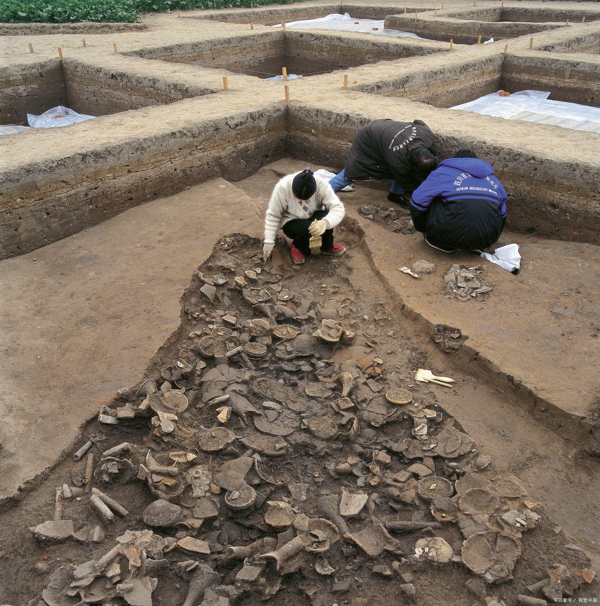 考古热下隐藏的人才缺口,你了解吗?