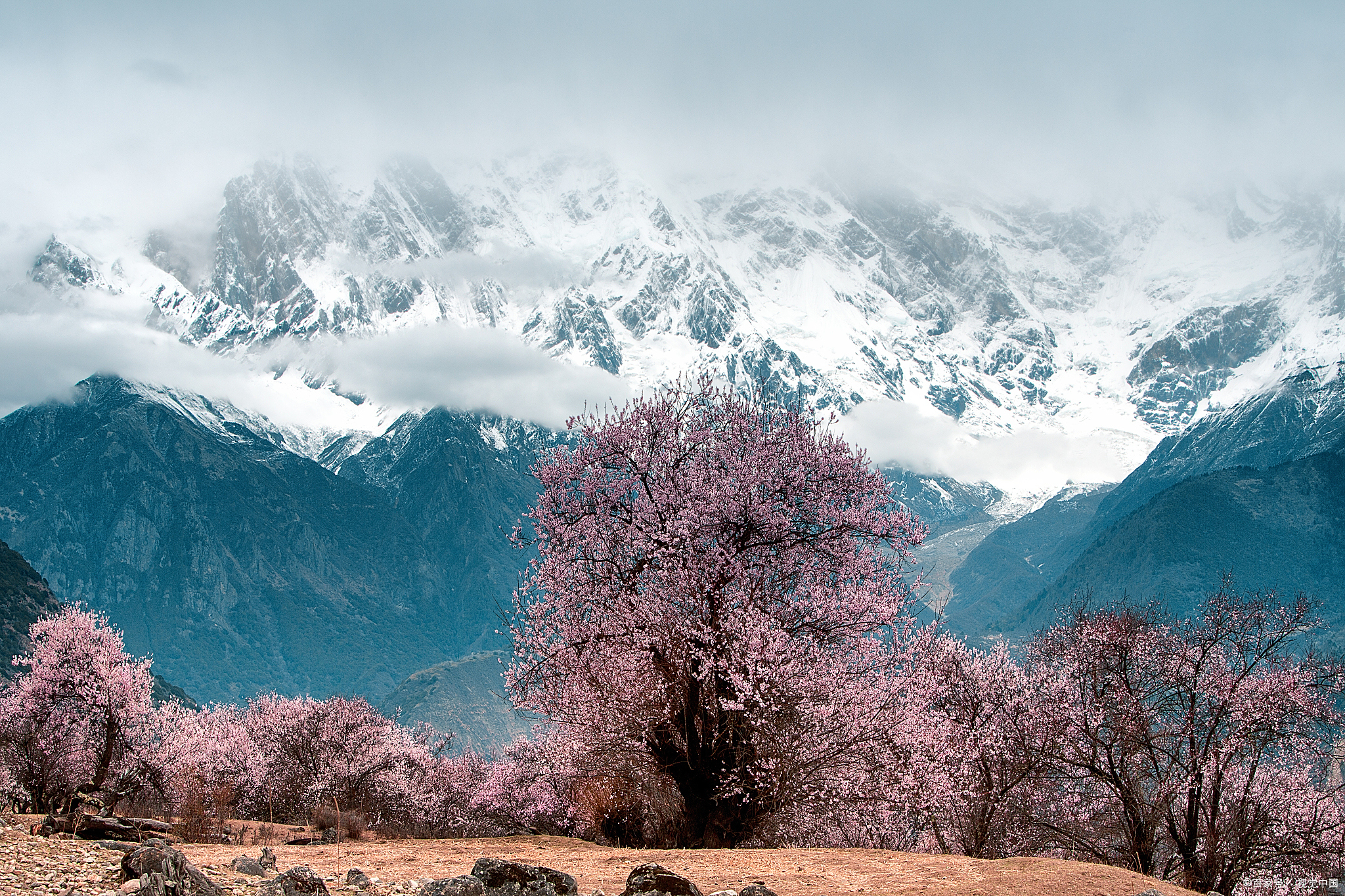 都说西藏林芝是小瑞士,林芝有哪些景点值得一逛?