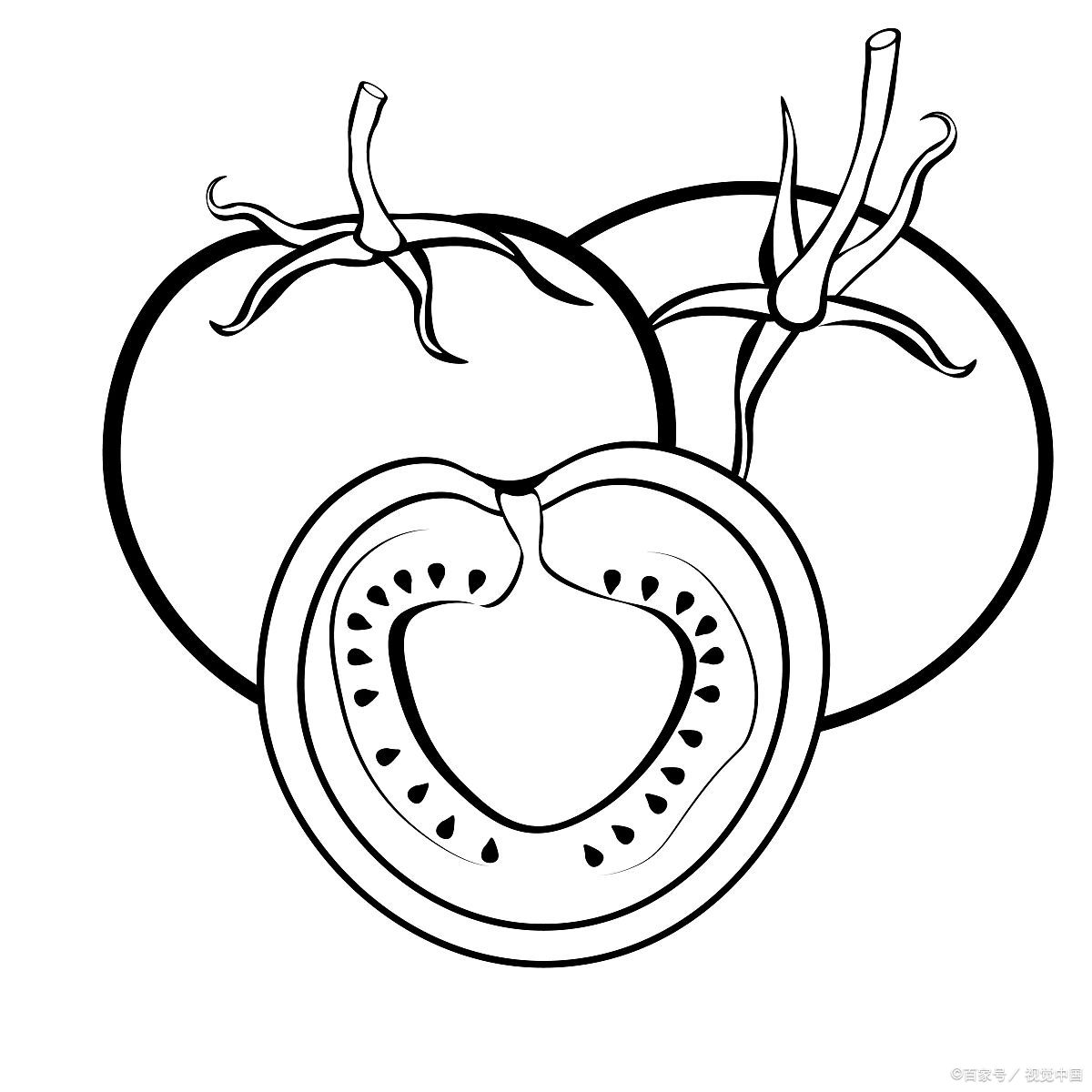 西红柿怎么画简笔画:小小画家:孩子们的西红柿简笔画入门