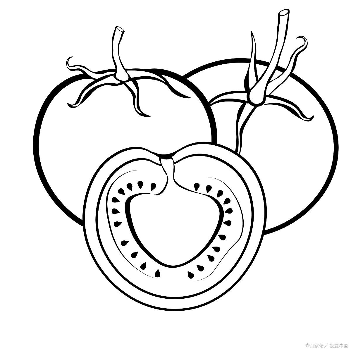 西红柿图画简笔画图片