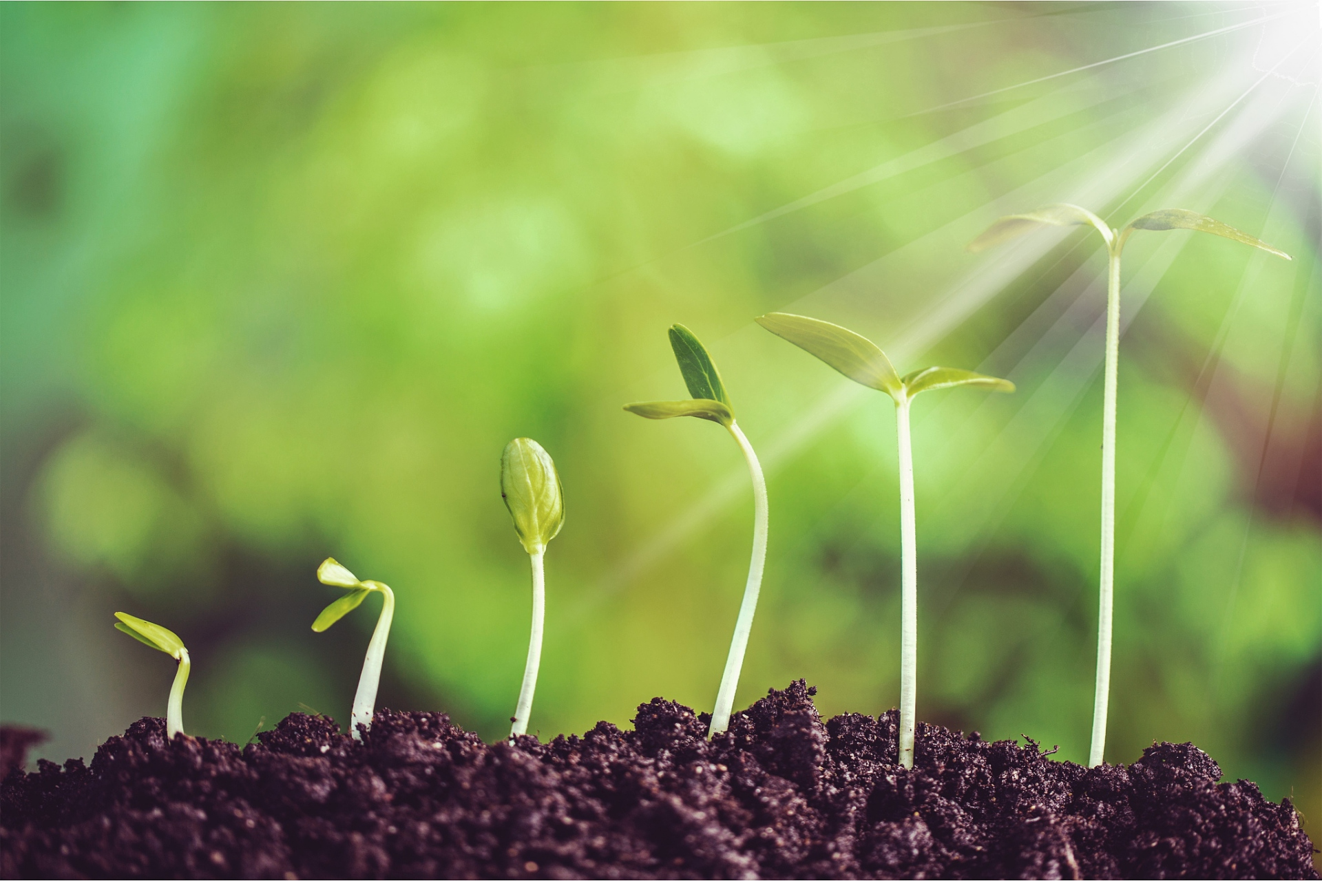 天地之道,可一言而尽也:其为物不贰,则其生物不测.