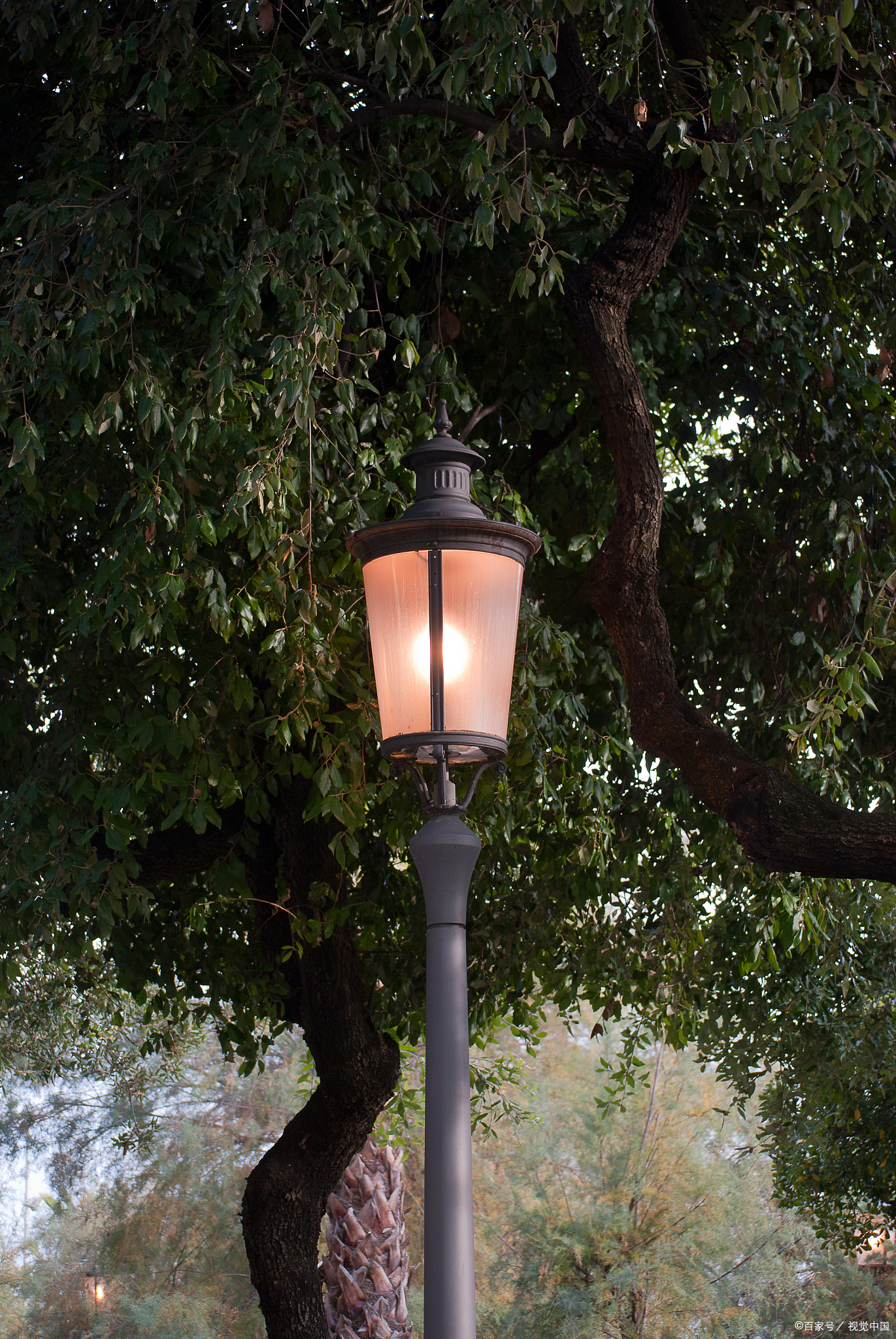 一名儿童在小区乐园玩耍时,不慎碰到路灯电桩触电身亡